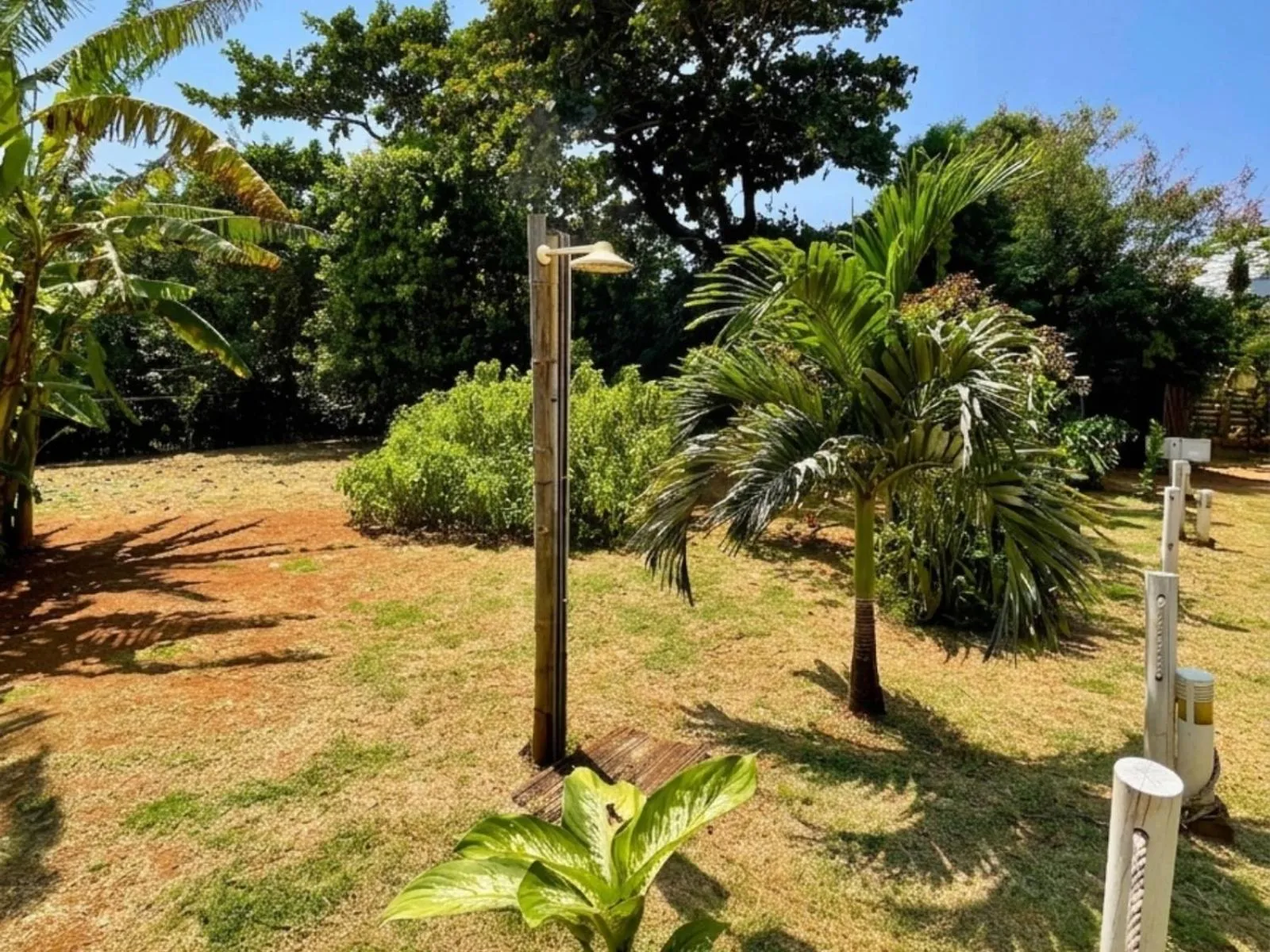 Spring in Casa do Anjo