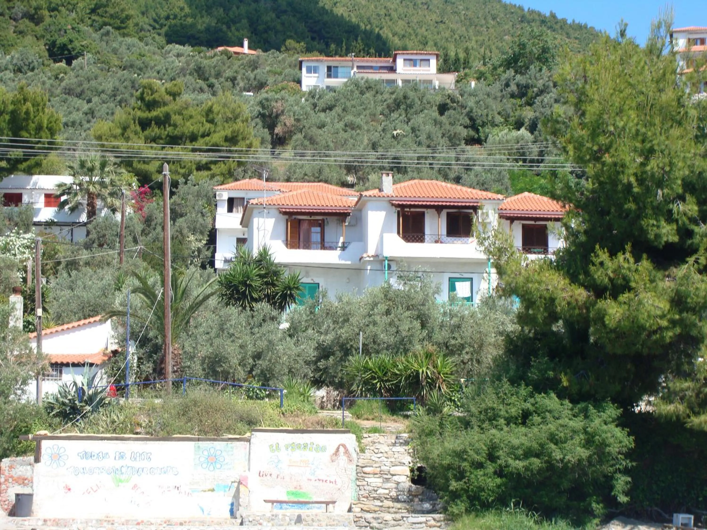 Property building in Azalea