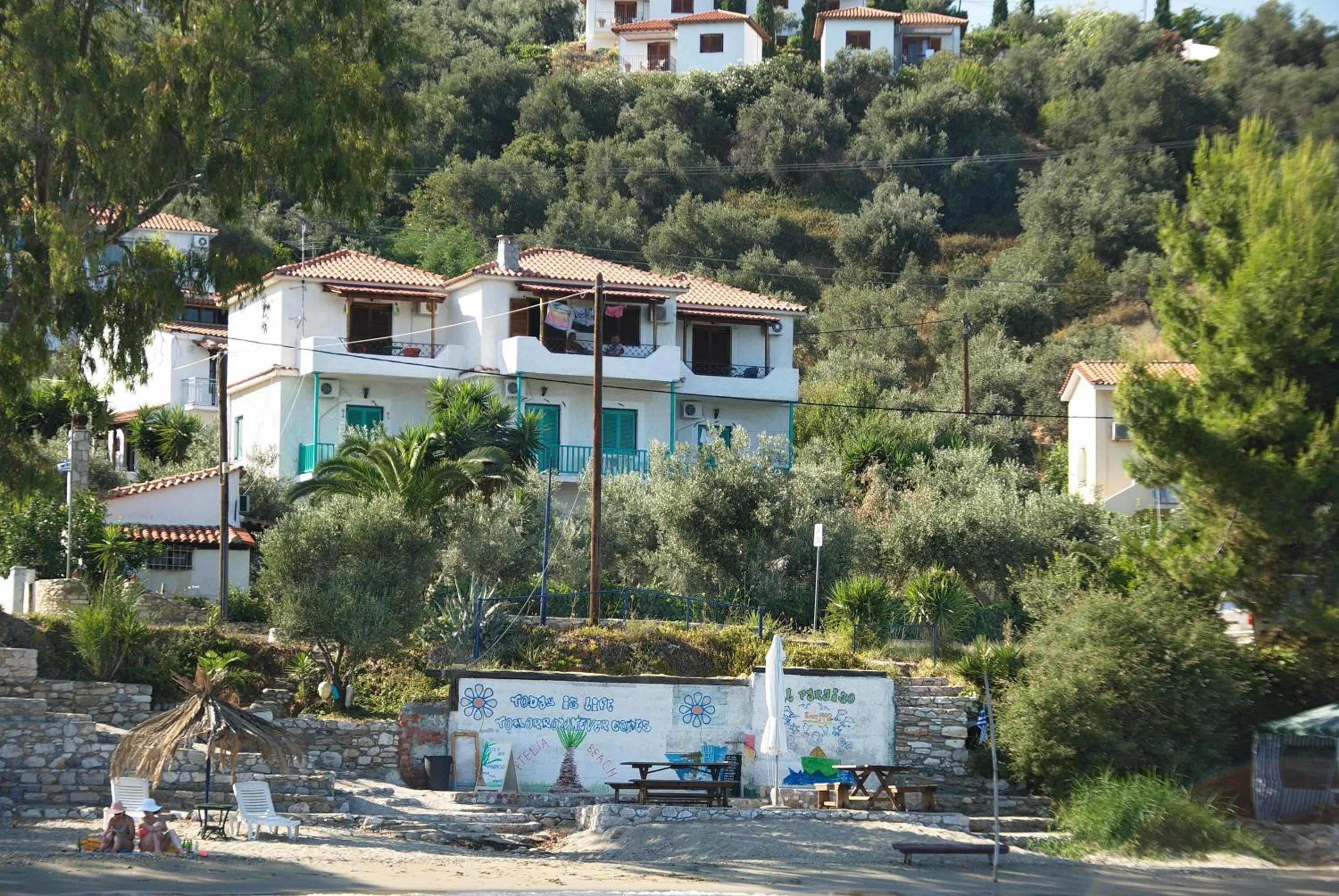 Bird's eye view in Azalea