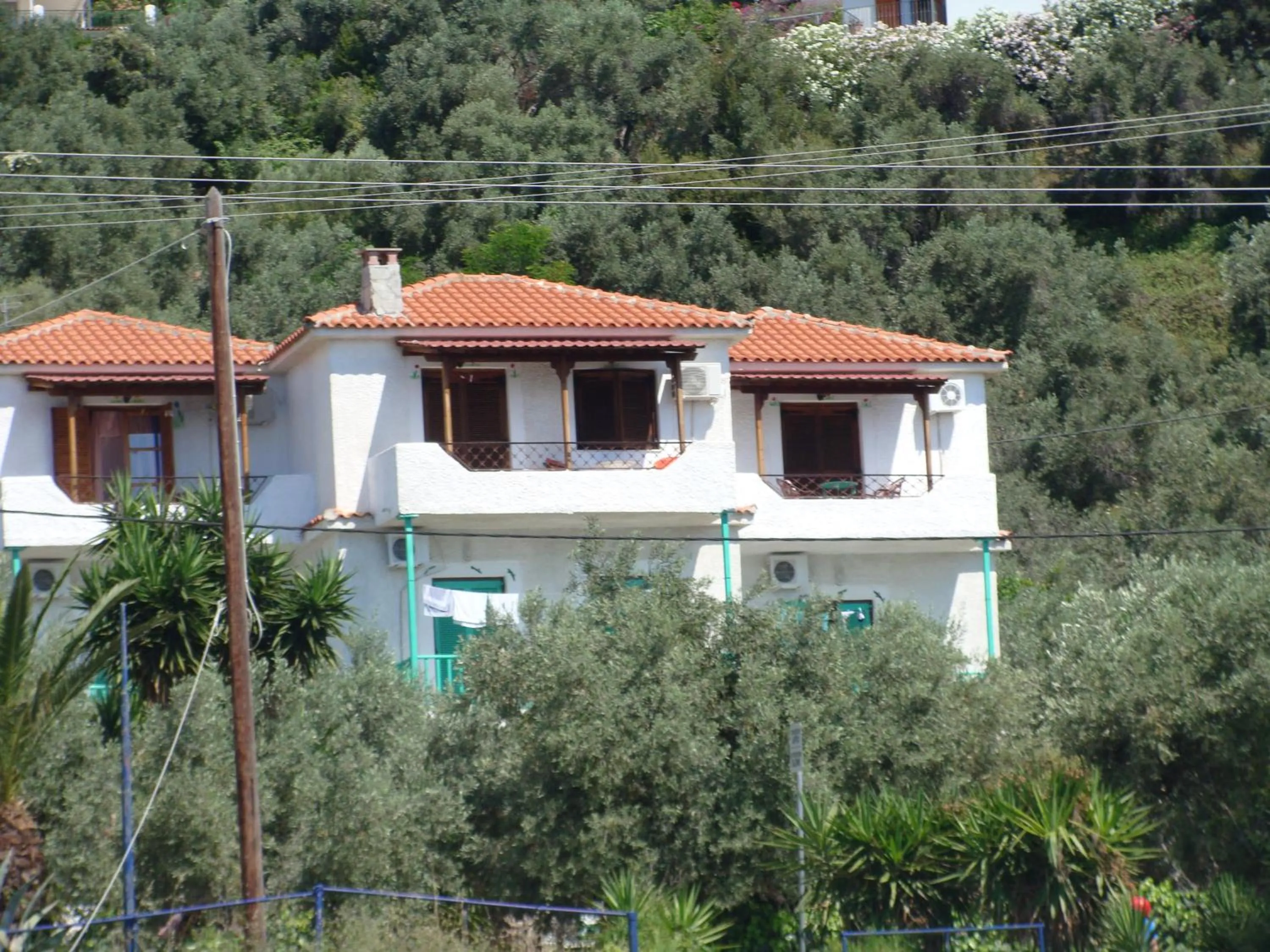 Property building in Azalea