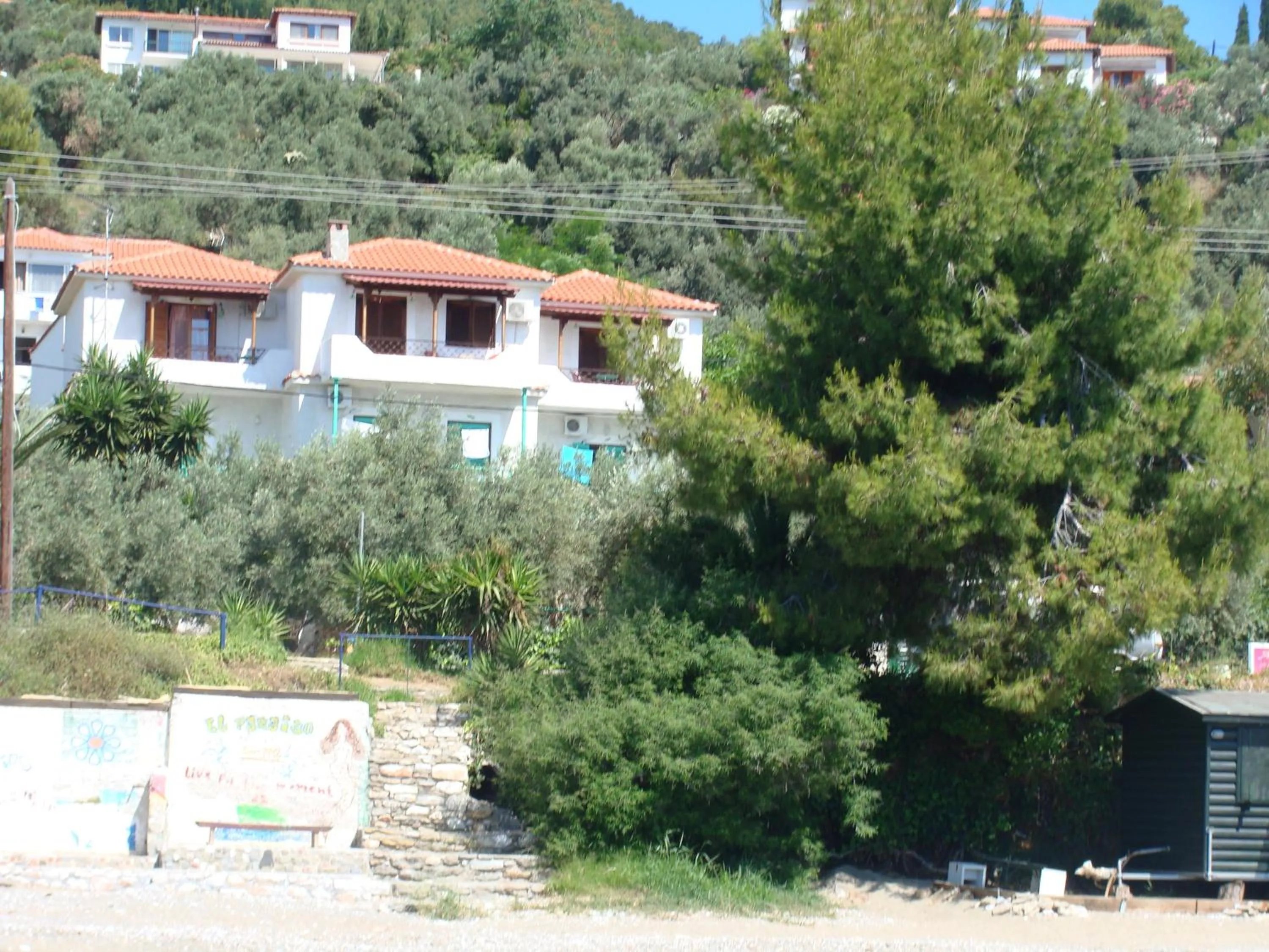 Property building in Azalea