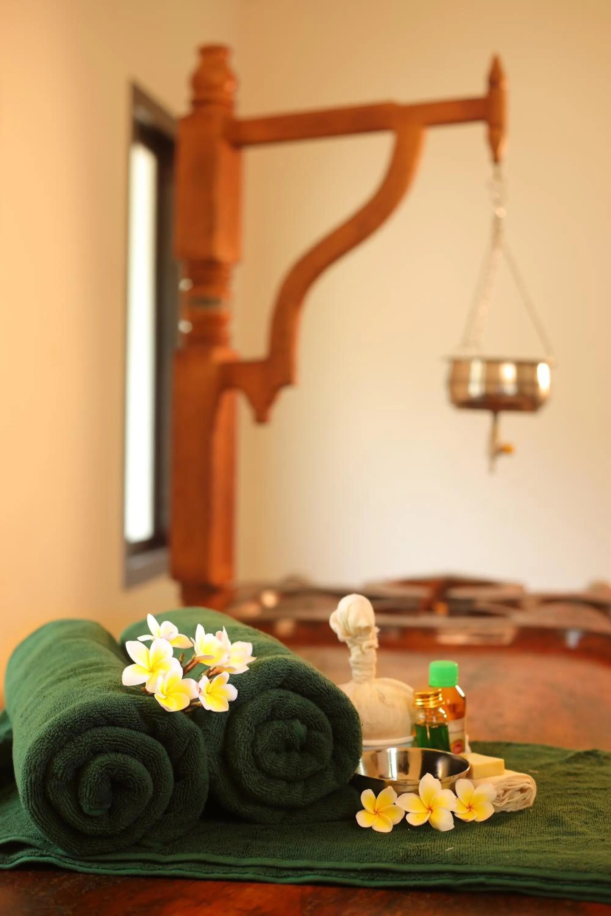 Spa and wellness centre/facilities in The World Backwaters, Alleppey