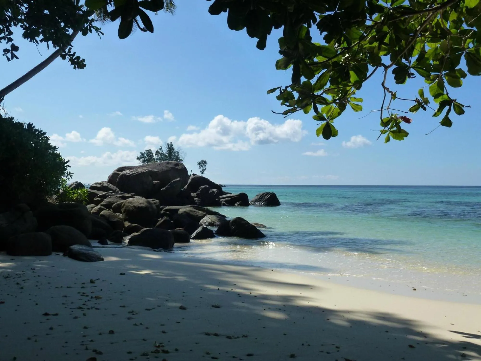 Natural landscape in Au Fond De Mer View