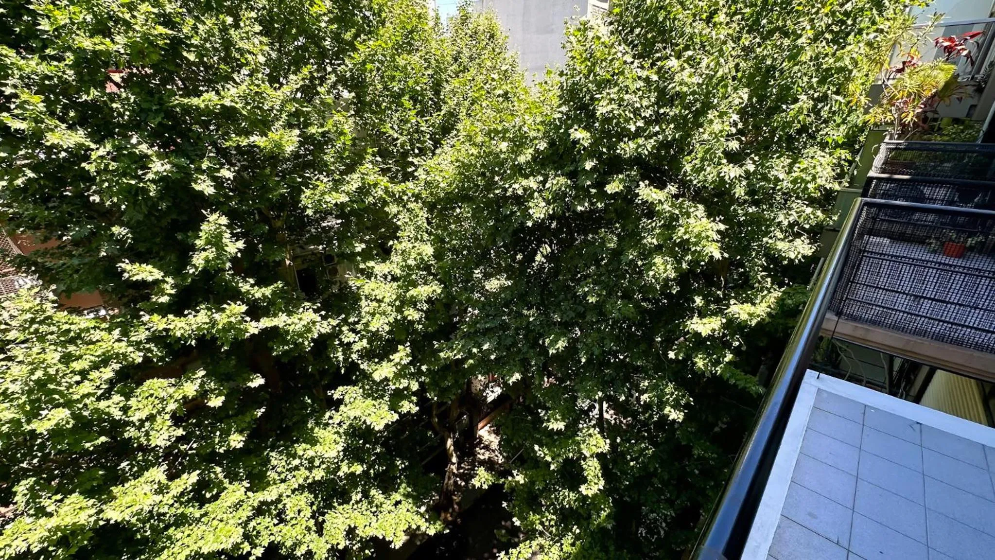 Spring in Soho Rentals