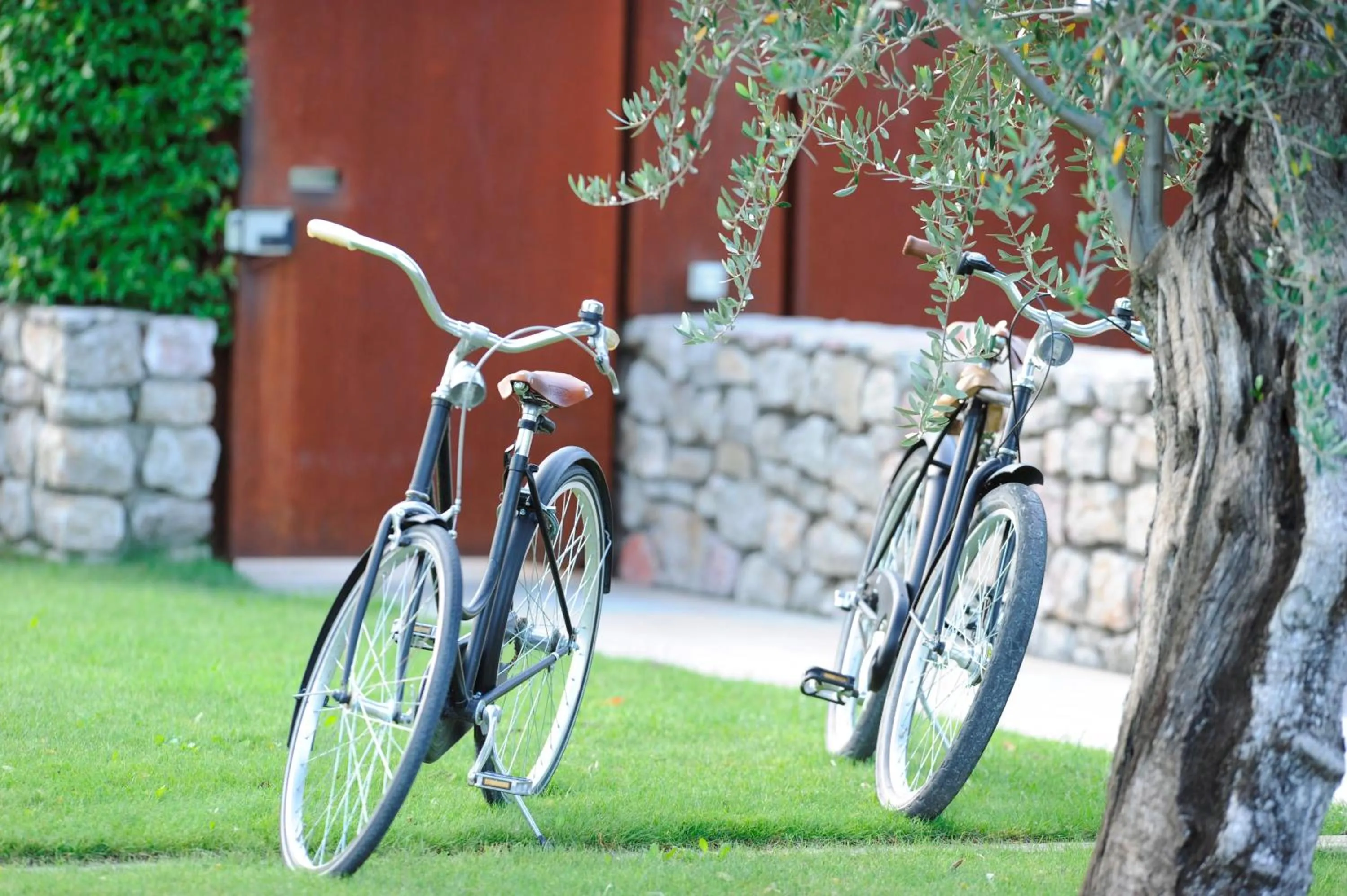 Garden in Vivere Suites & Rooms