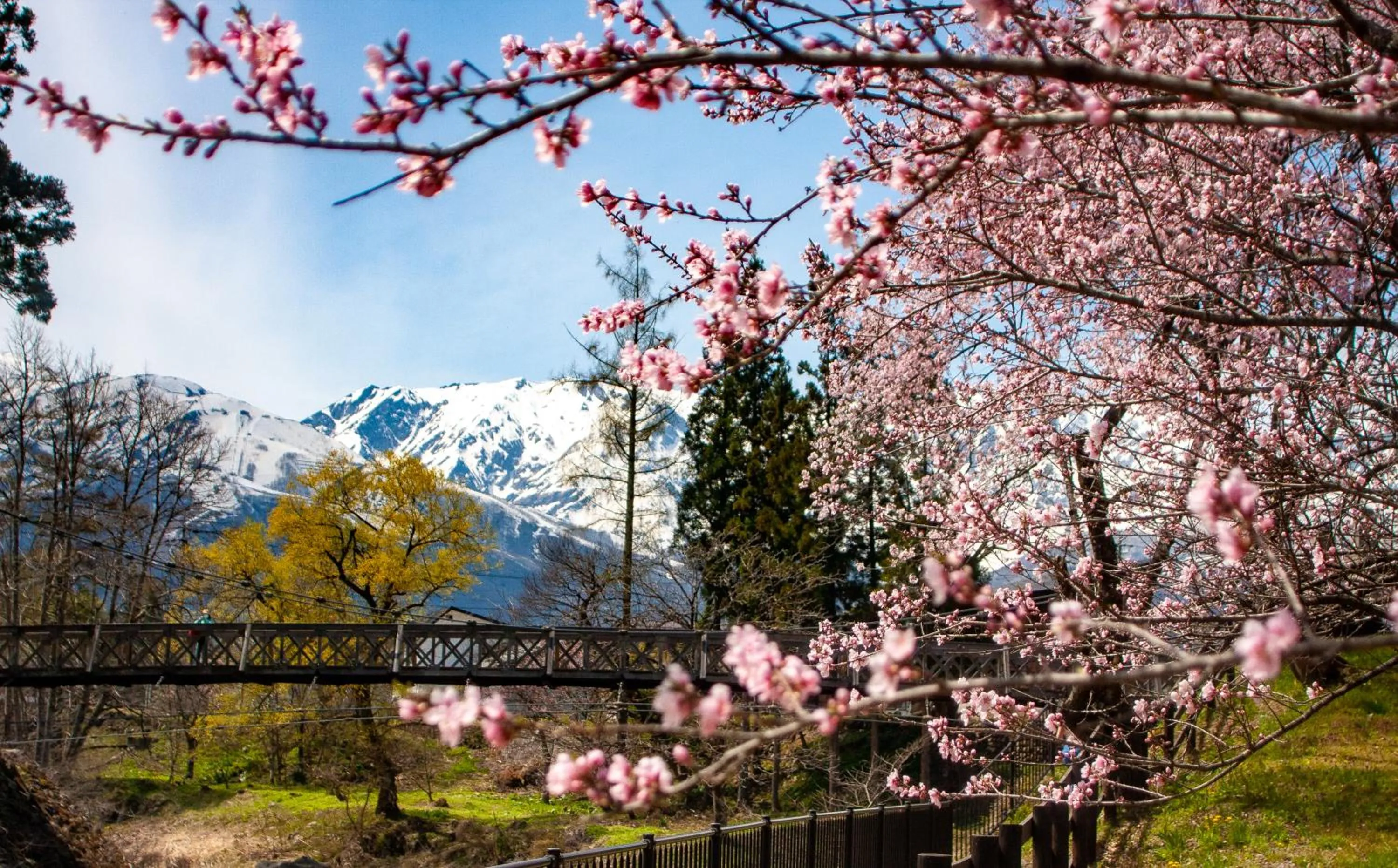 Wadano Gateway Suites & Apartments