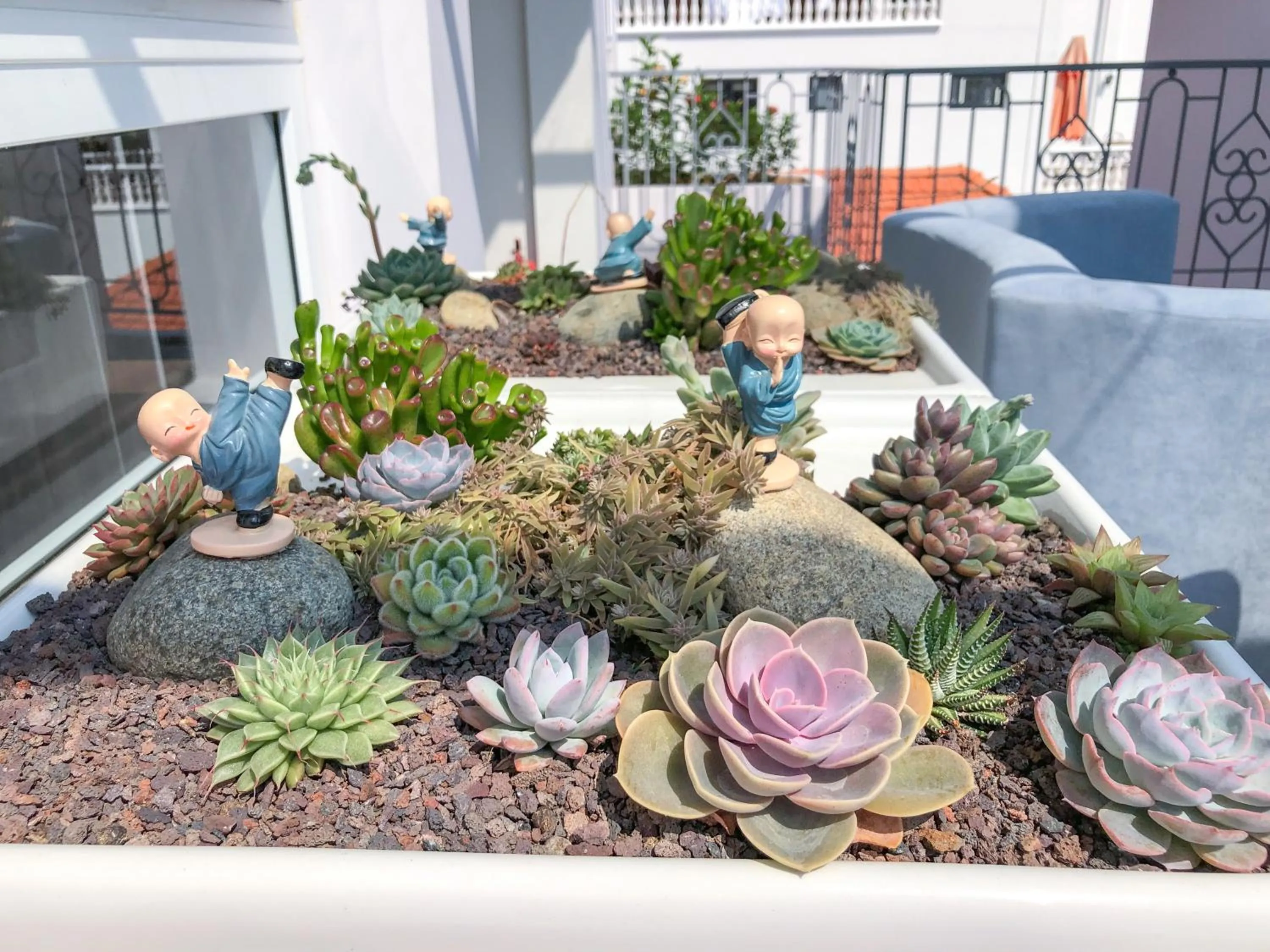 Day in NATURE LAND 2 - Song Anh Hotel Dalat