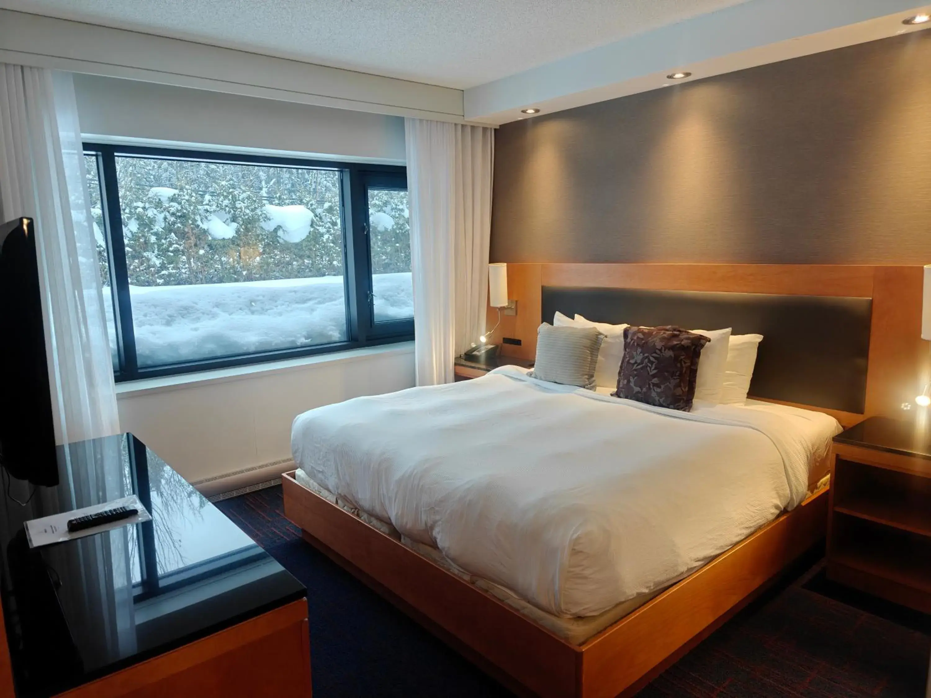 Executive Suite in Hotel Forestel Executive Suite in Hotel Forestel