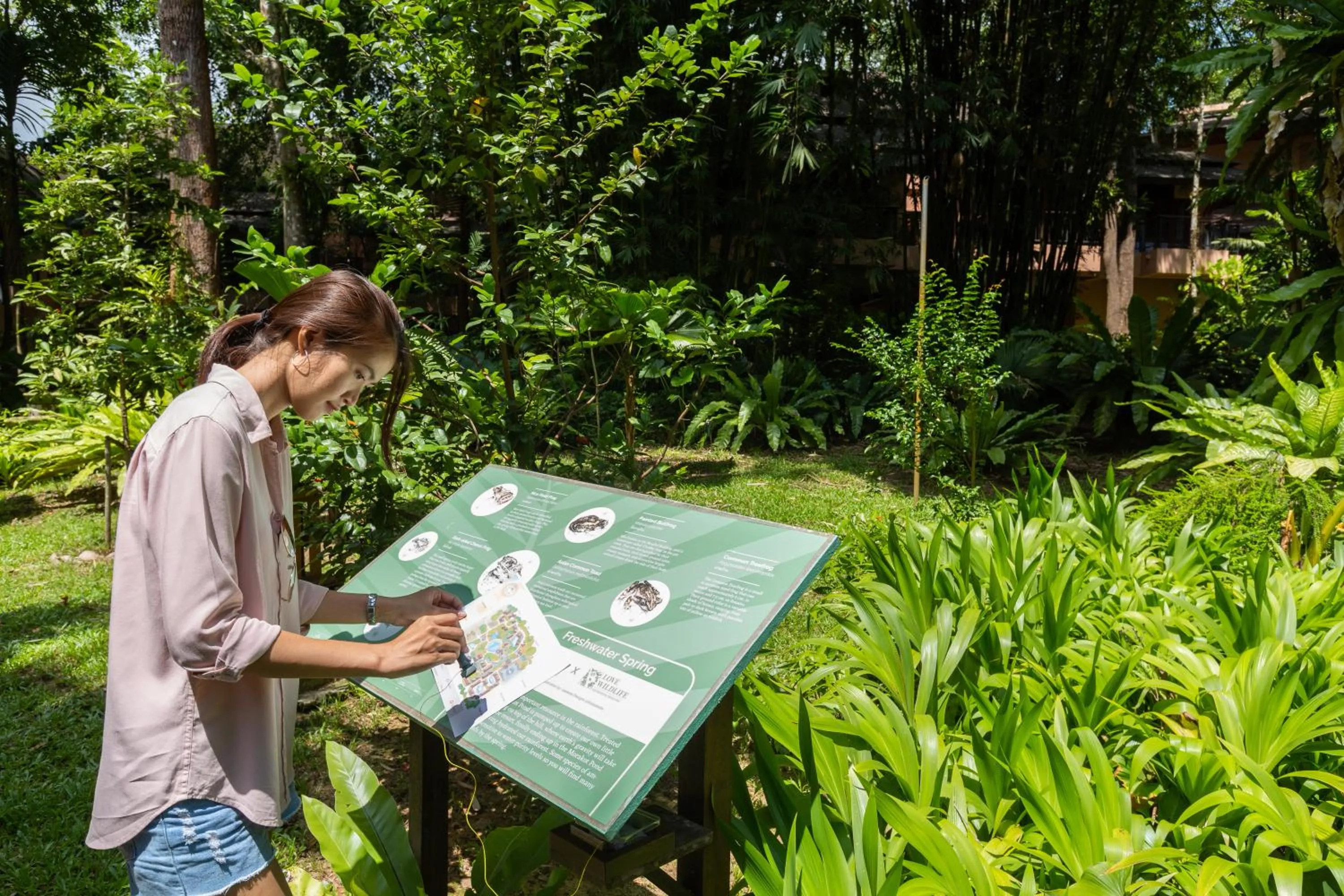 Activities in Khaolak Merlin Resort