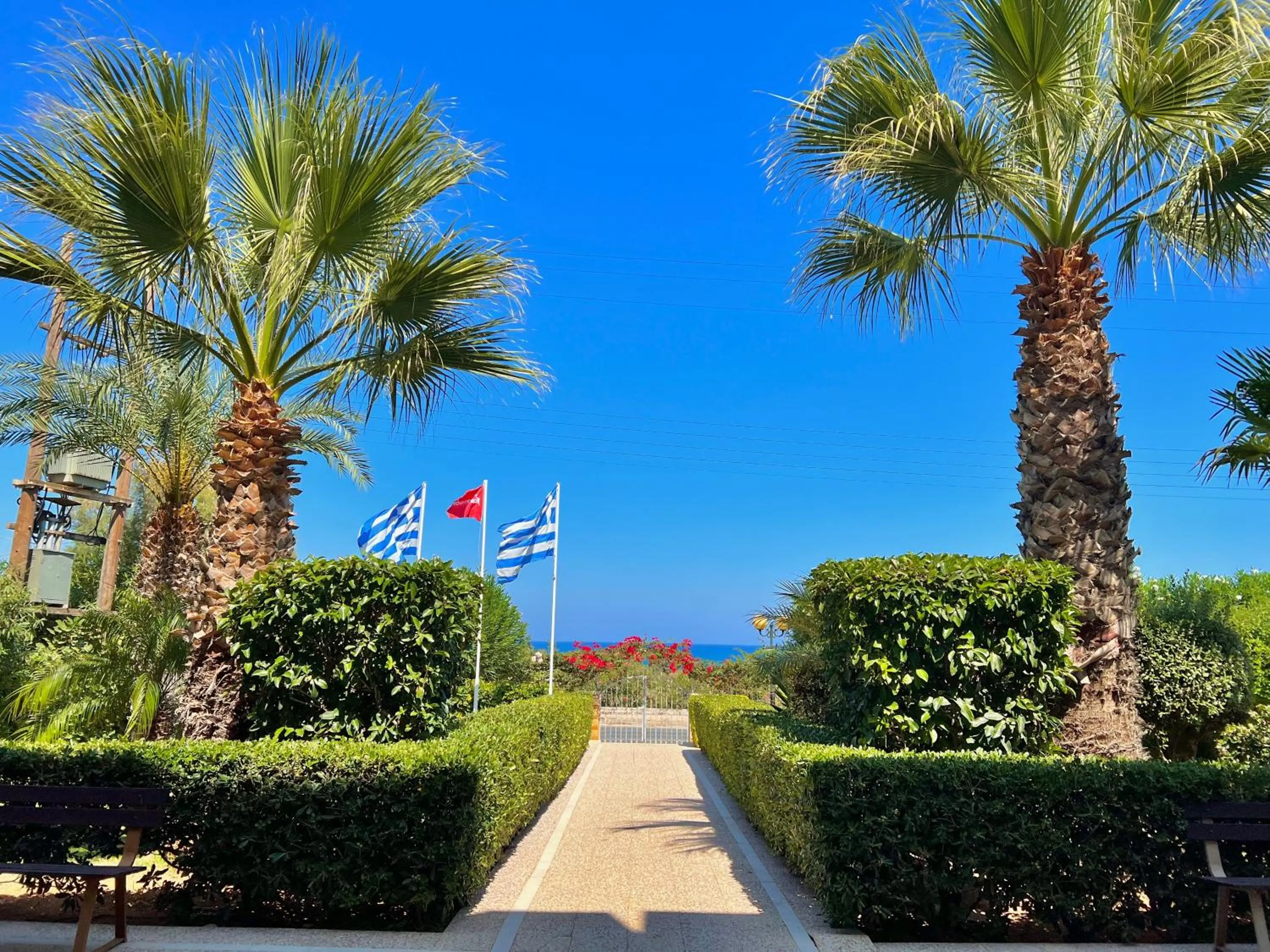 Spring in Karteros Hotel