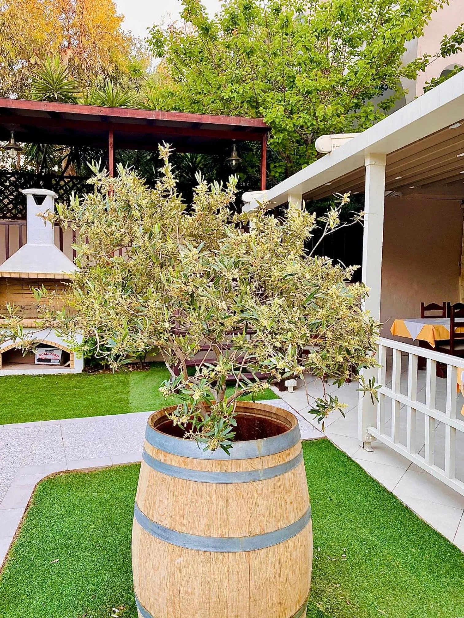 Natural landscape in Karteros Hotel