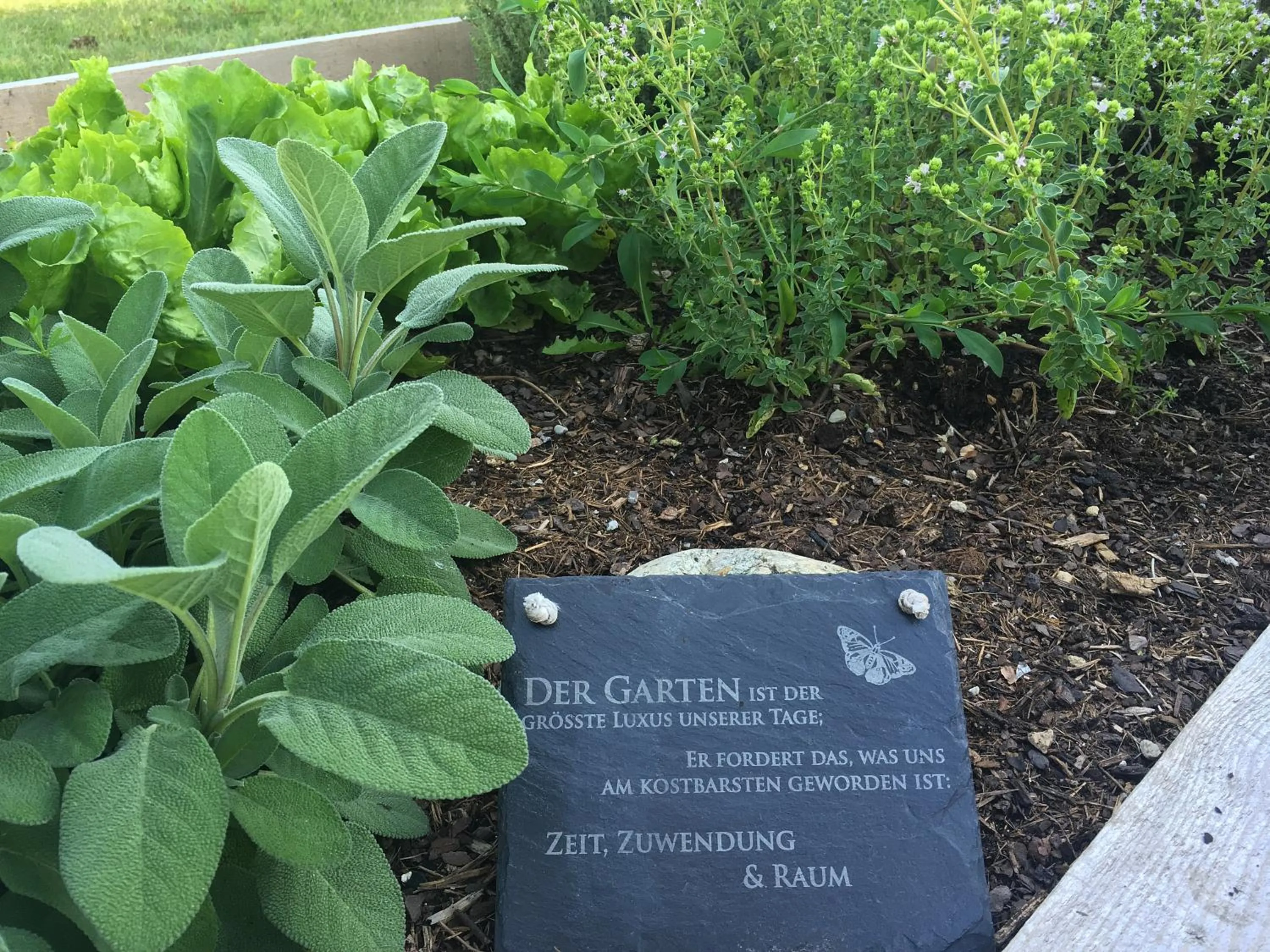 Garden in Hotel Egerthof