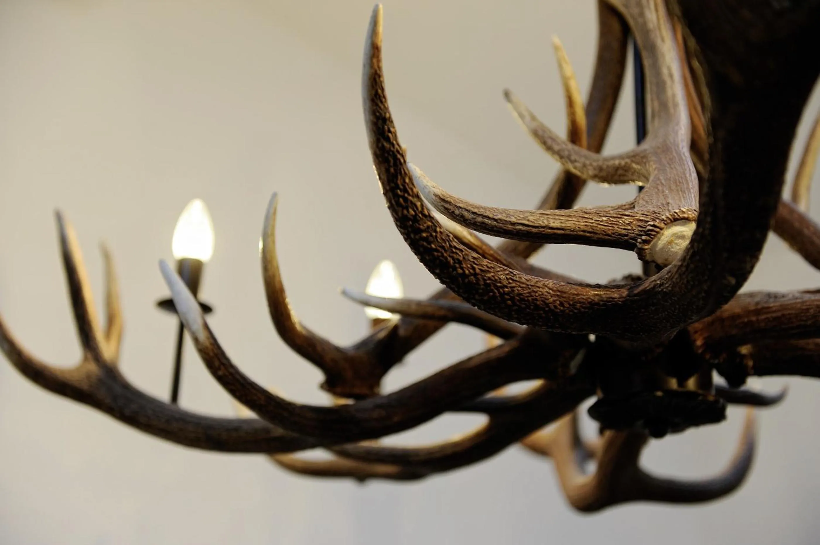 Decorative detail in Hotel Garni Albona