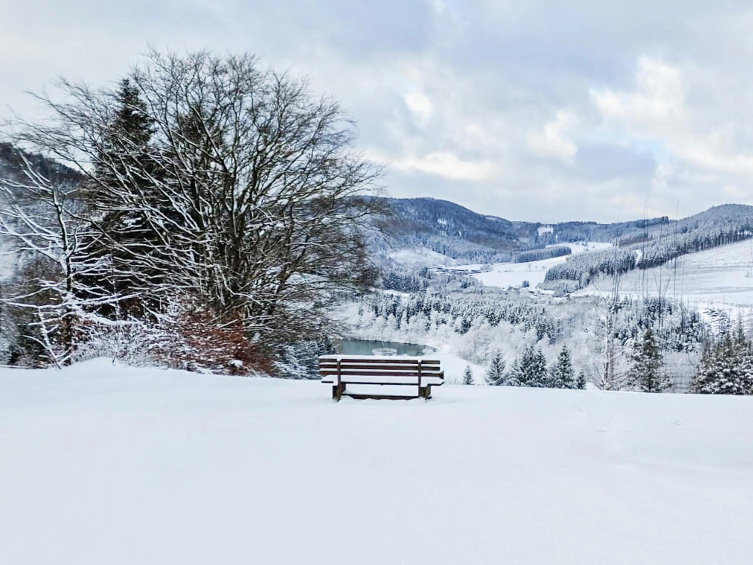 View (from property/room) in Panorama Hotel Winterberg
