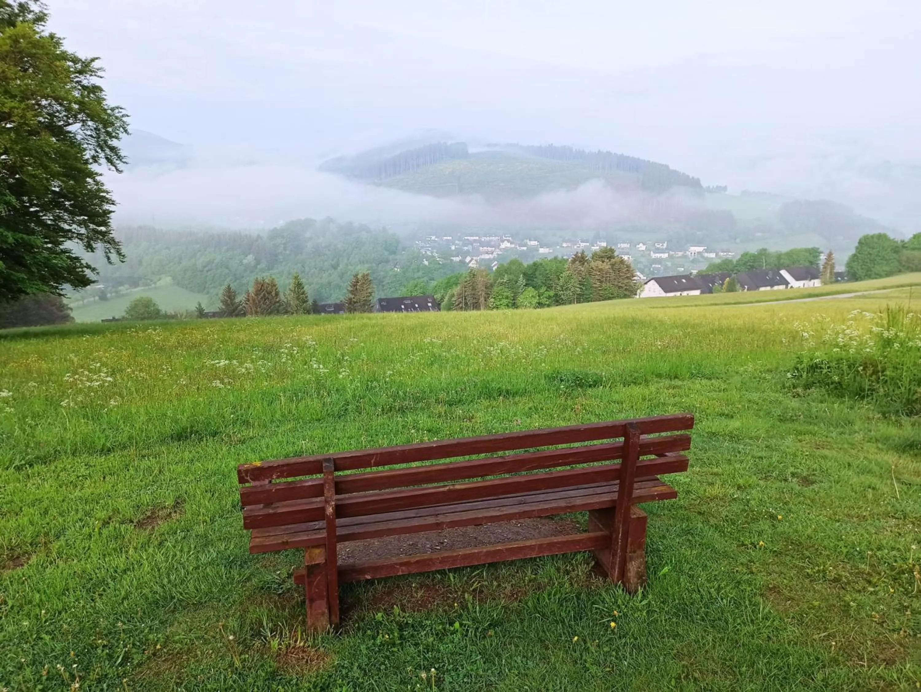 View (from property/room) in Panorama Hotel Winterberg