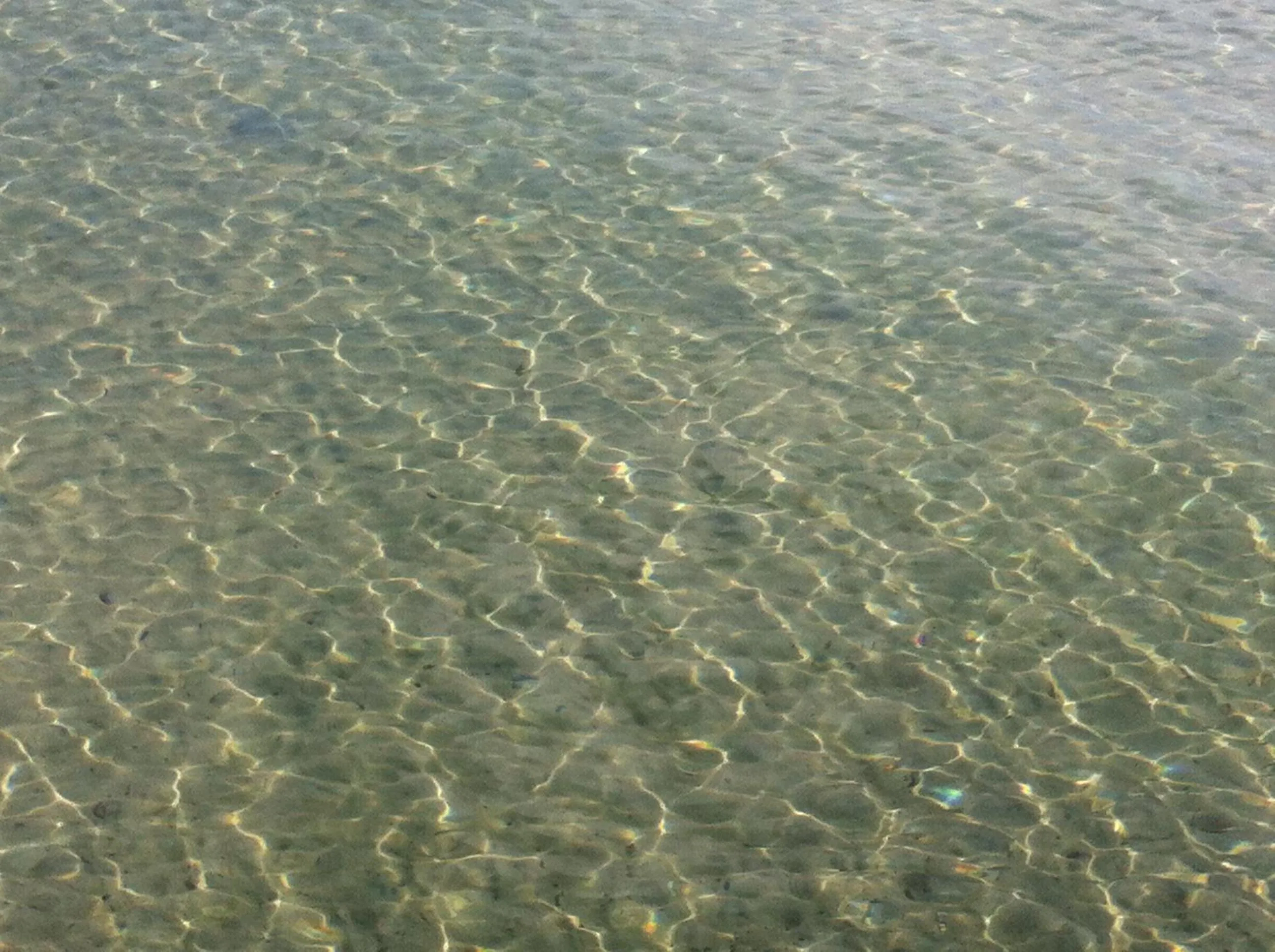 Beach in Hotel Europe Inn