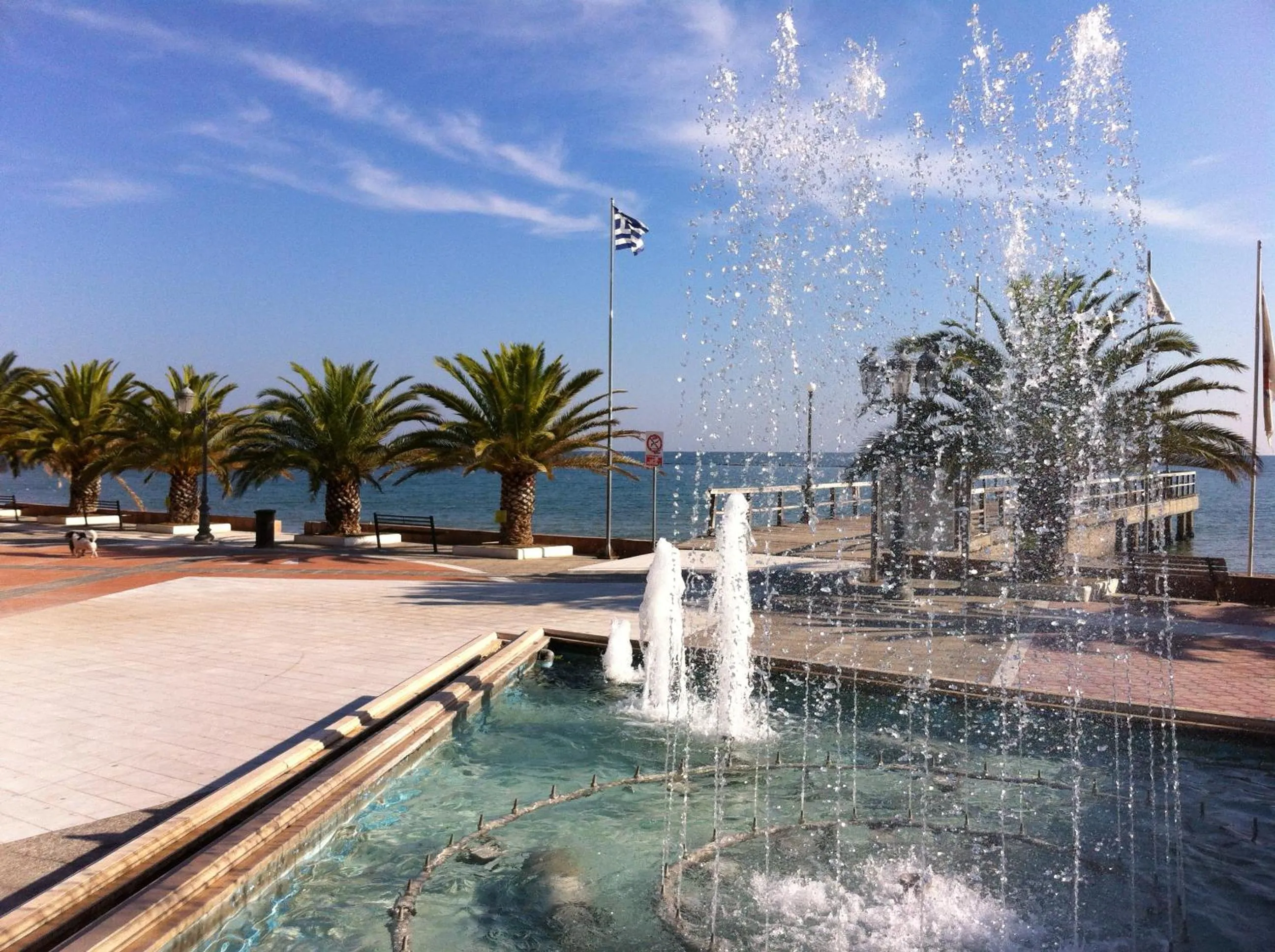 Area and facilities in Hotel Europe Inn