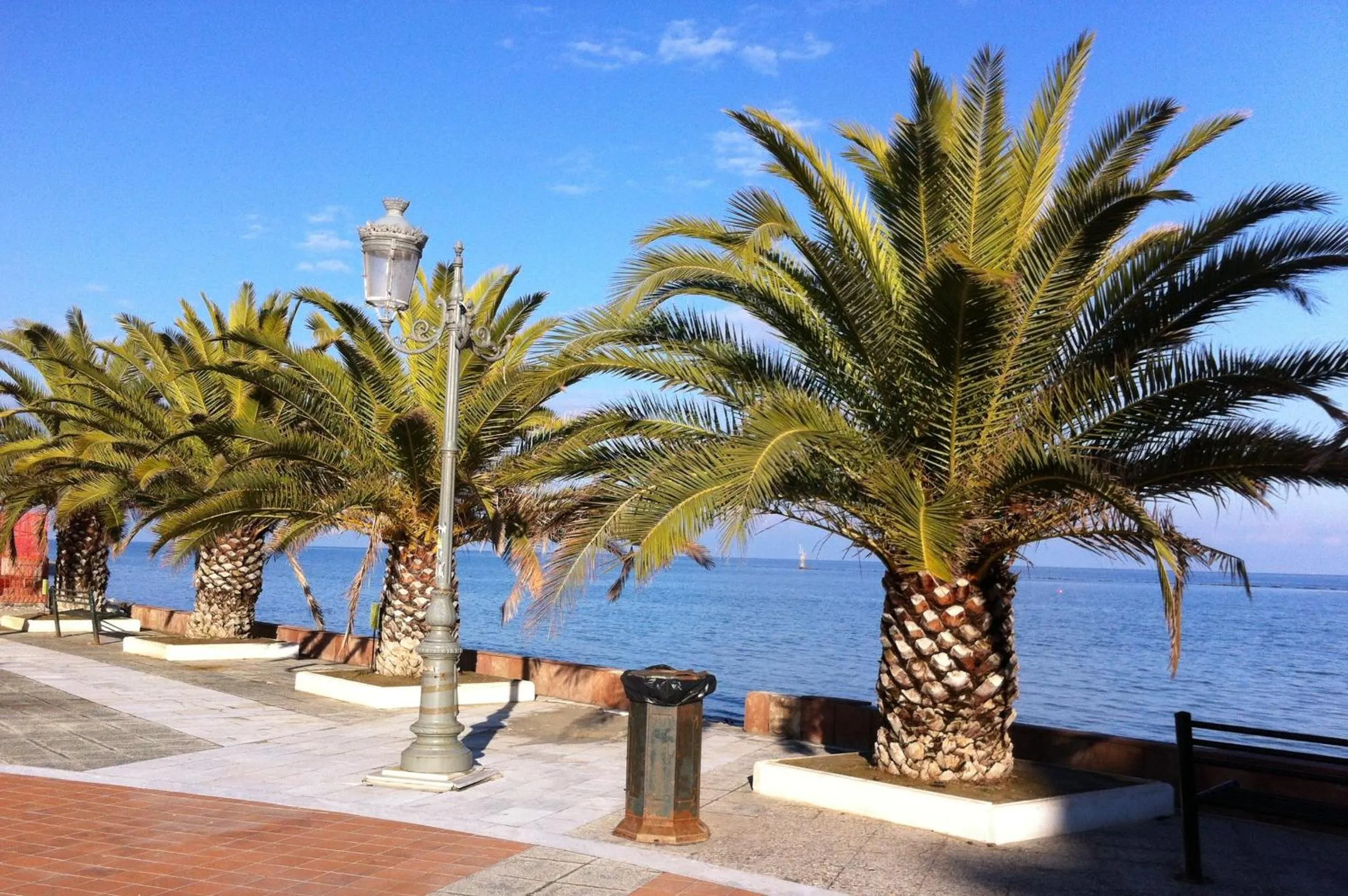 Natural landscape in Hotel Europe Inn