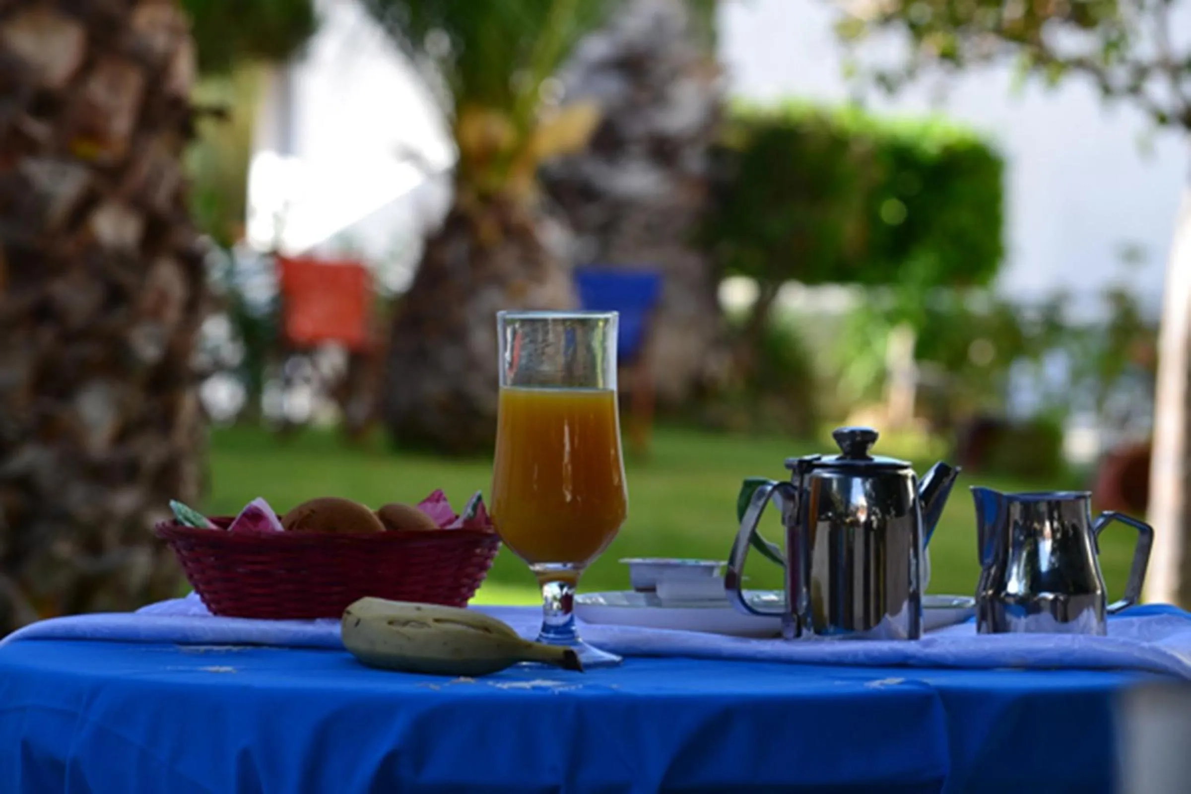 Food and drinks in Maistrali Studios