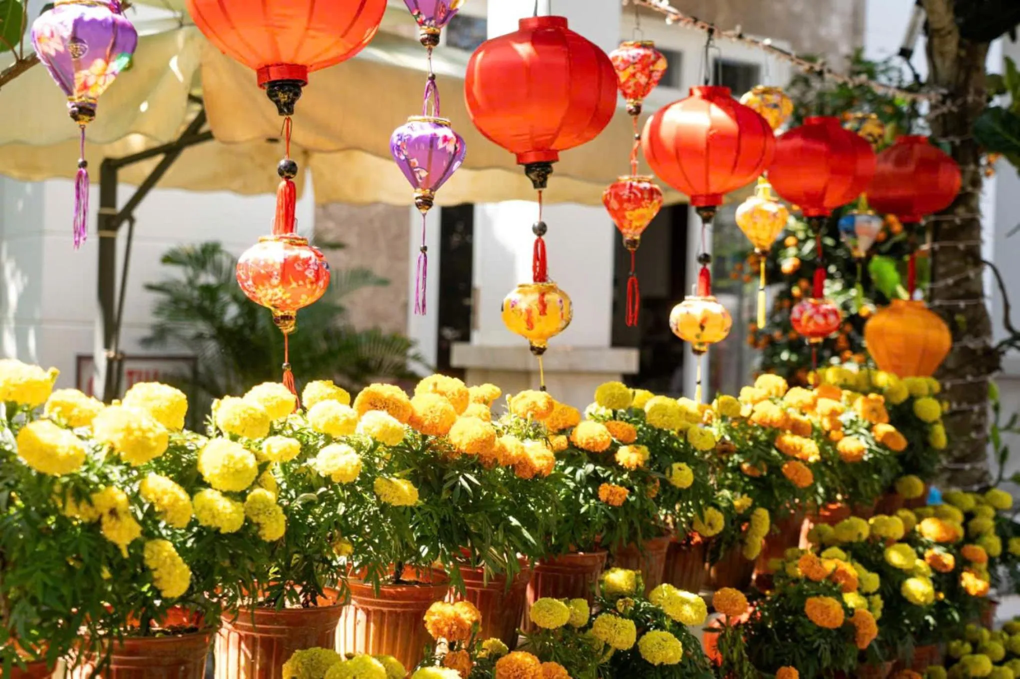 Garden view in Chi Thanh Villa