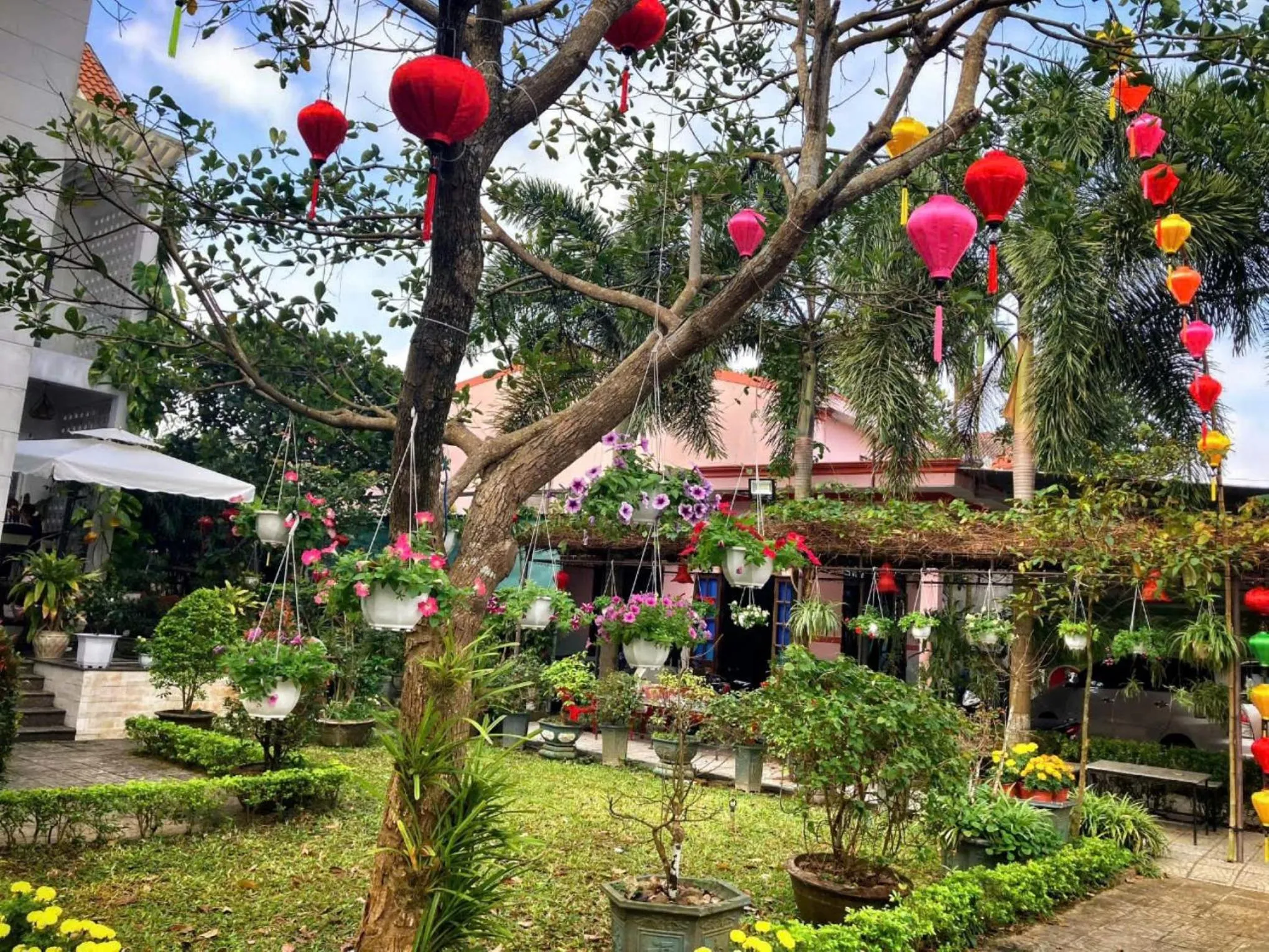 Garden in Chi Thanh Villa