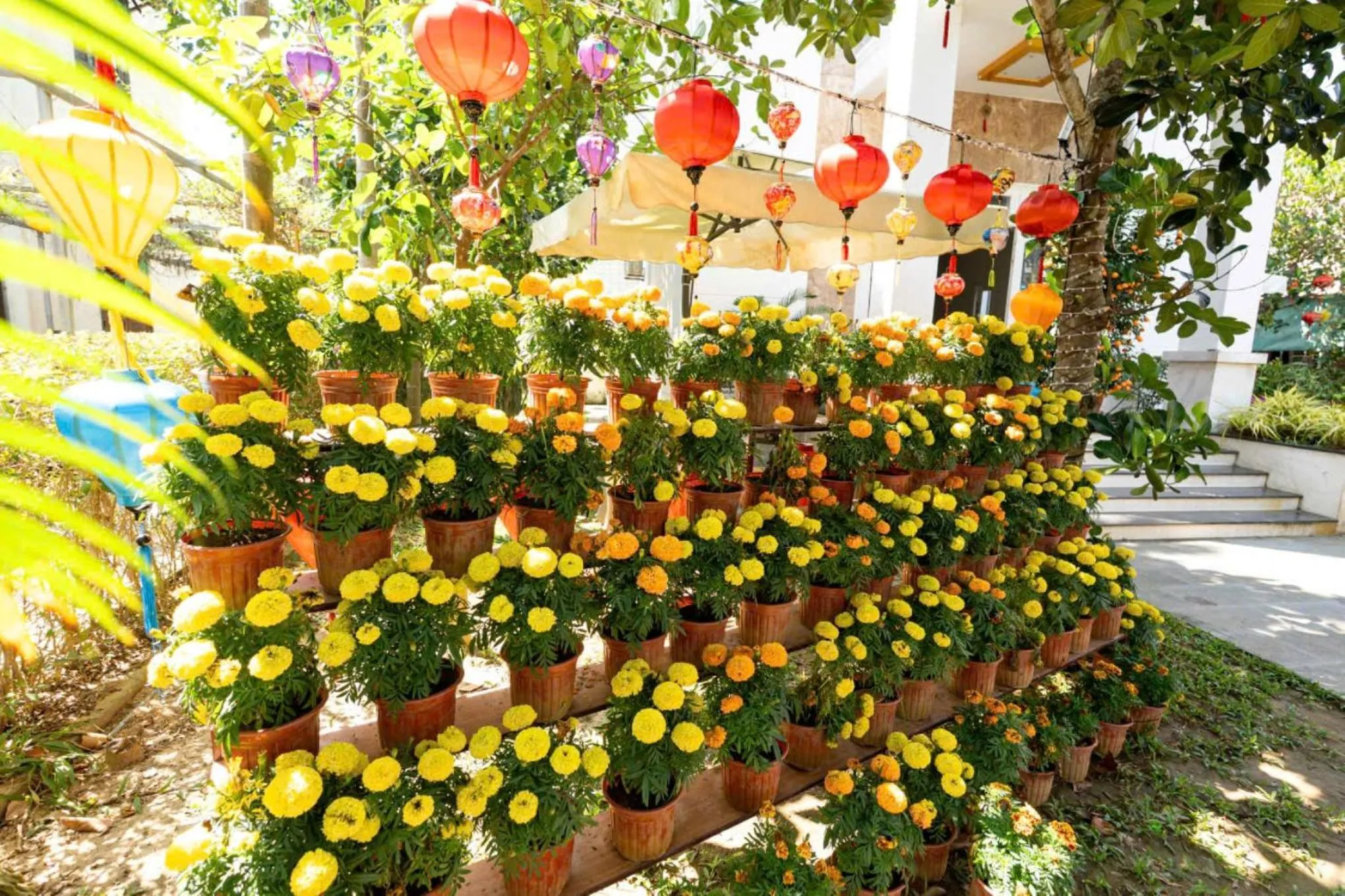 Garden view in Chi Thanh Villa