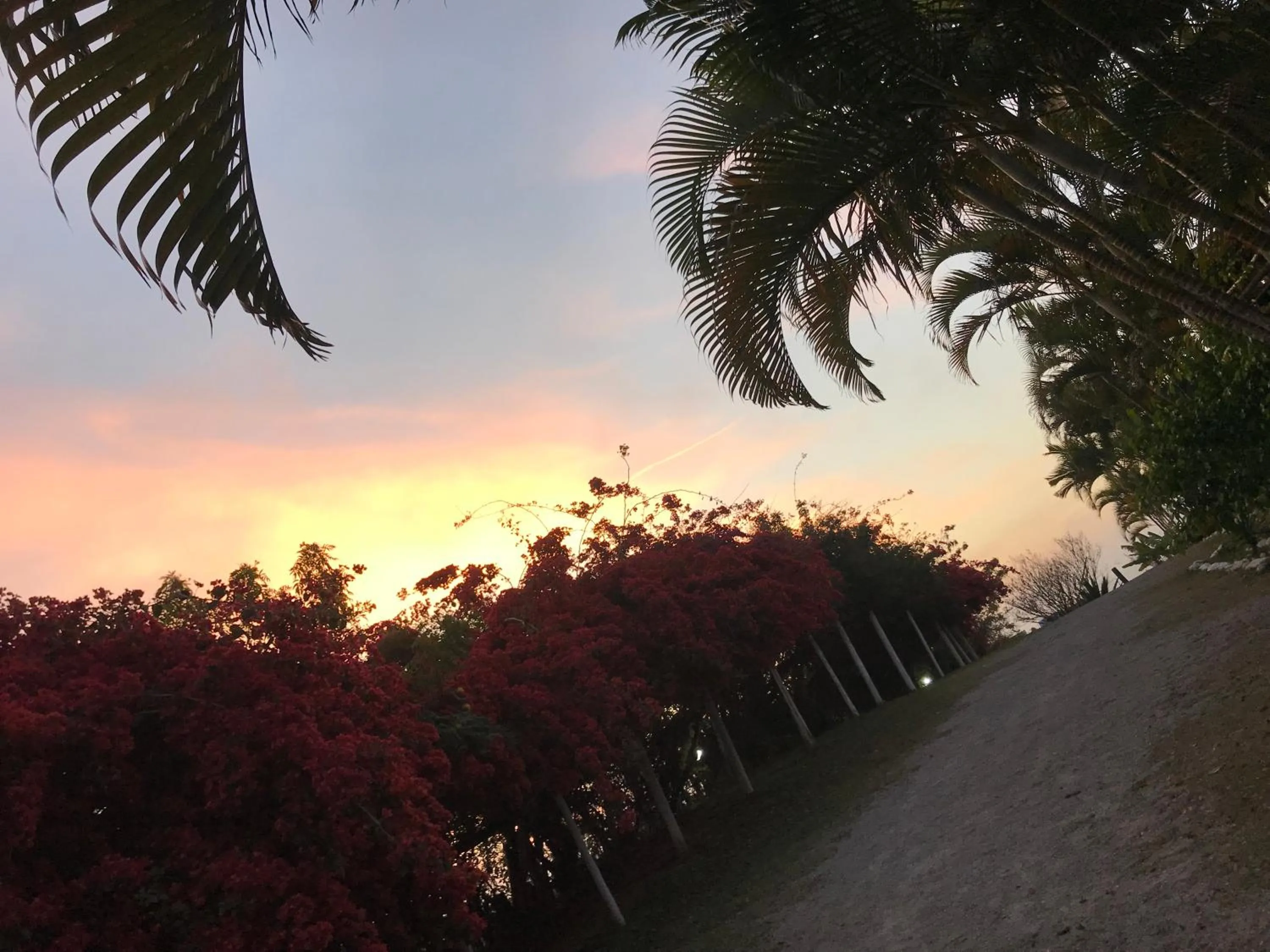 Natural landscape in Pousada Halliny do Rosa