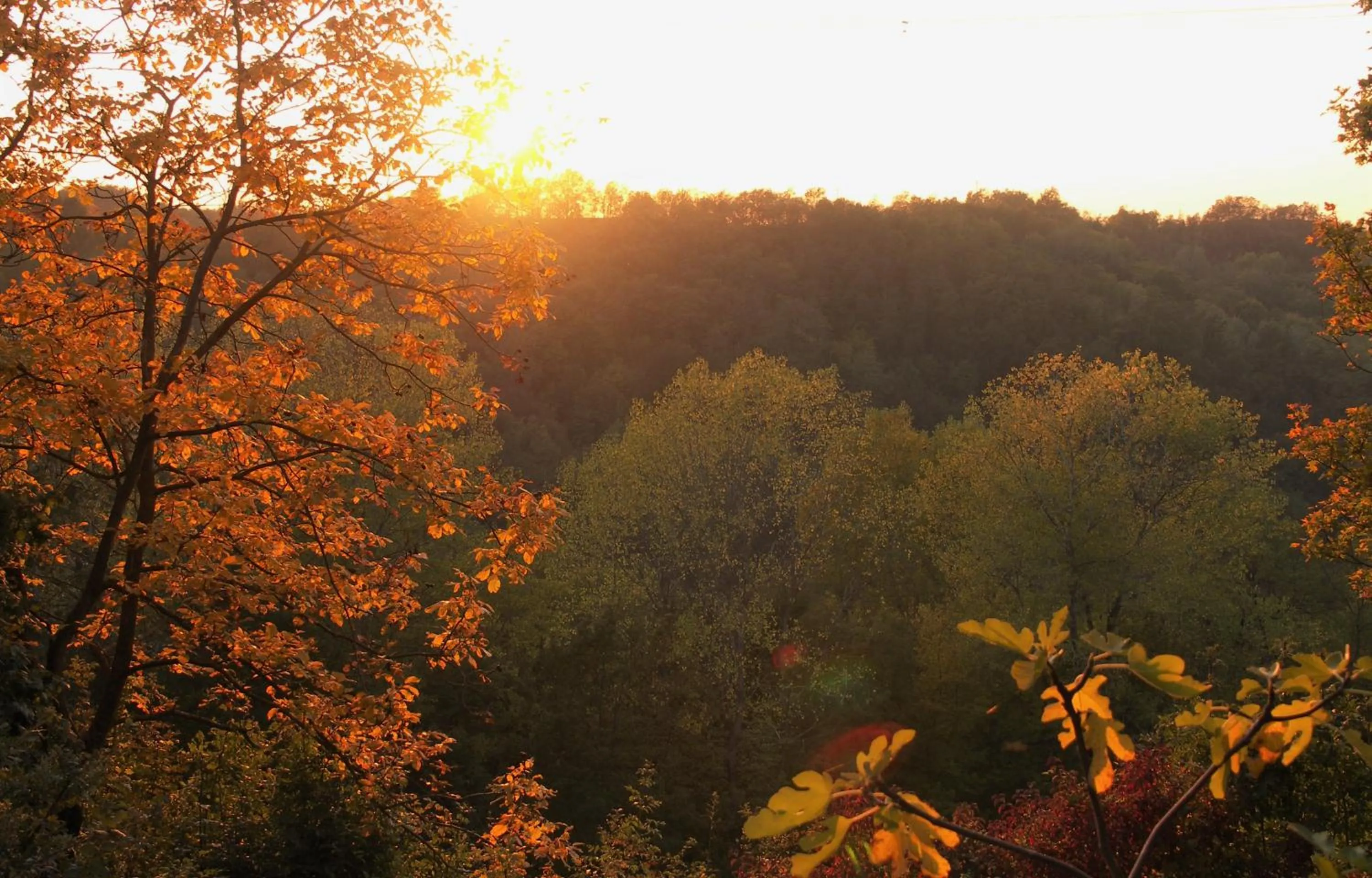 Garden view in La Traversina