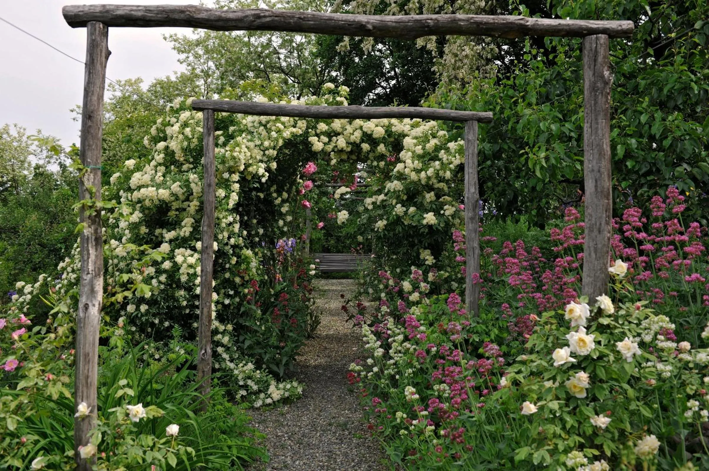 Garden in La Traversina