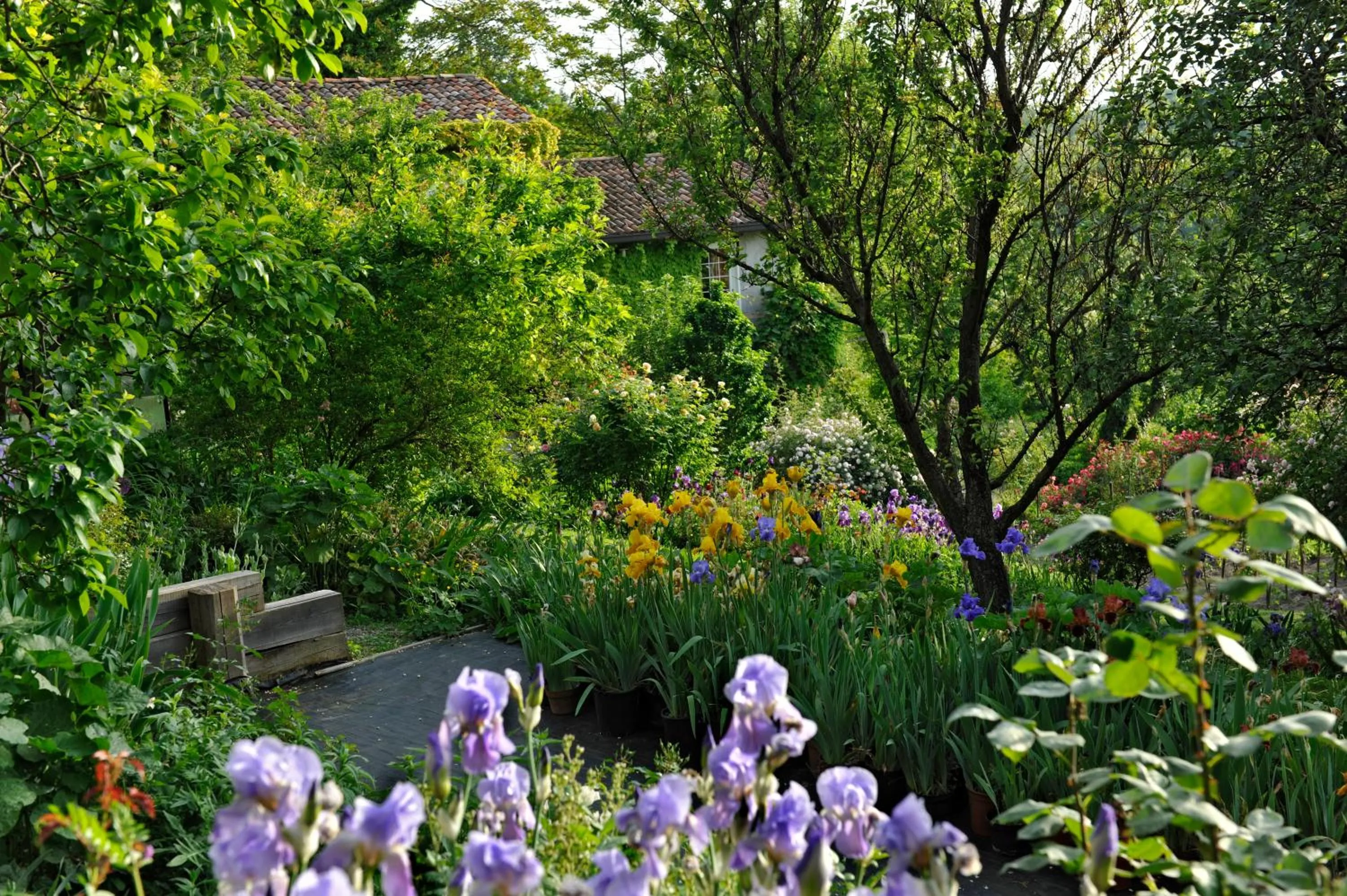 Garden in La Traversina