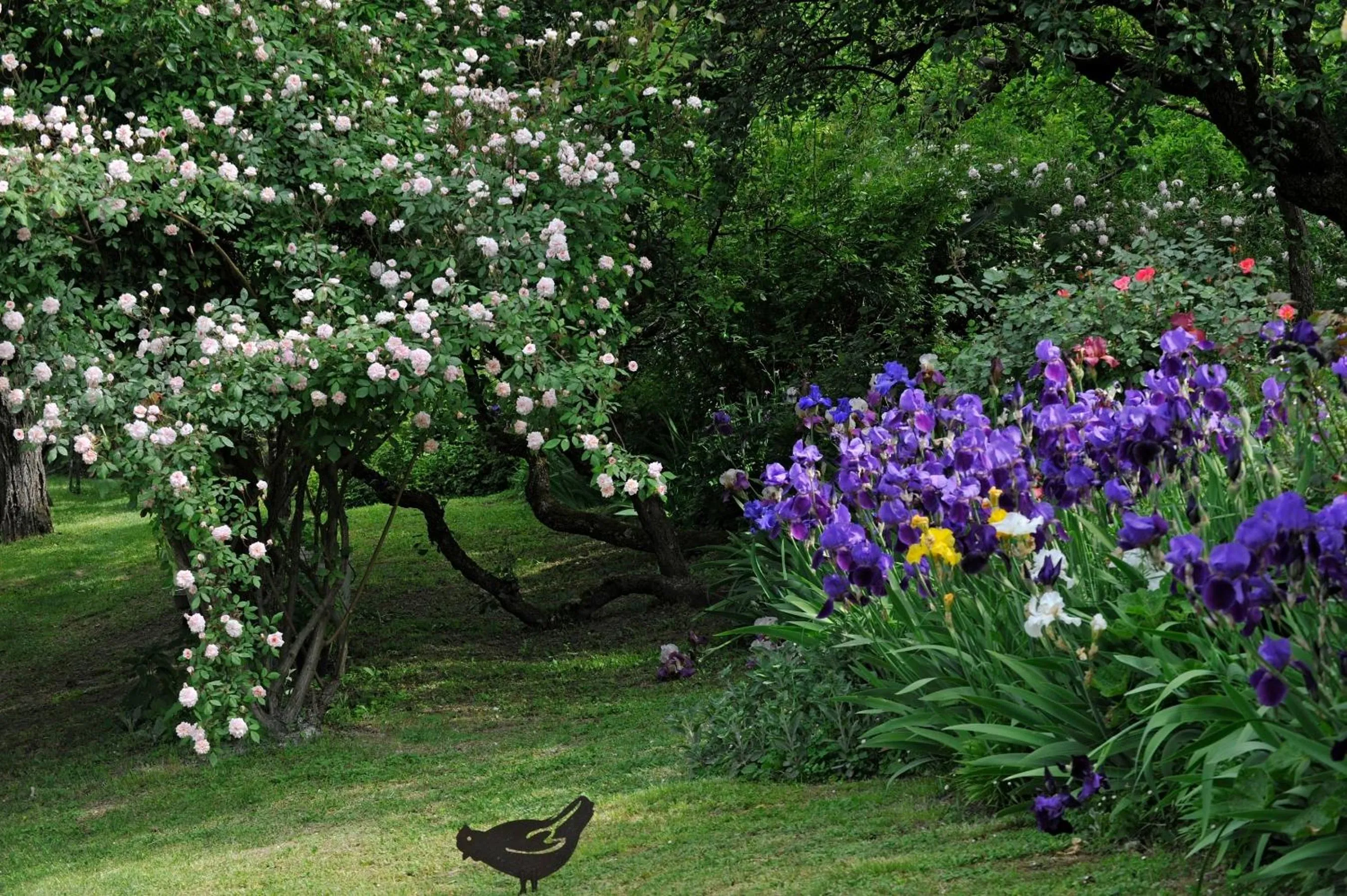 Garden in La Traversina
