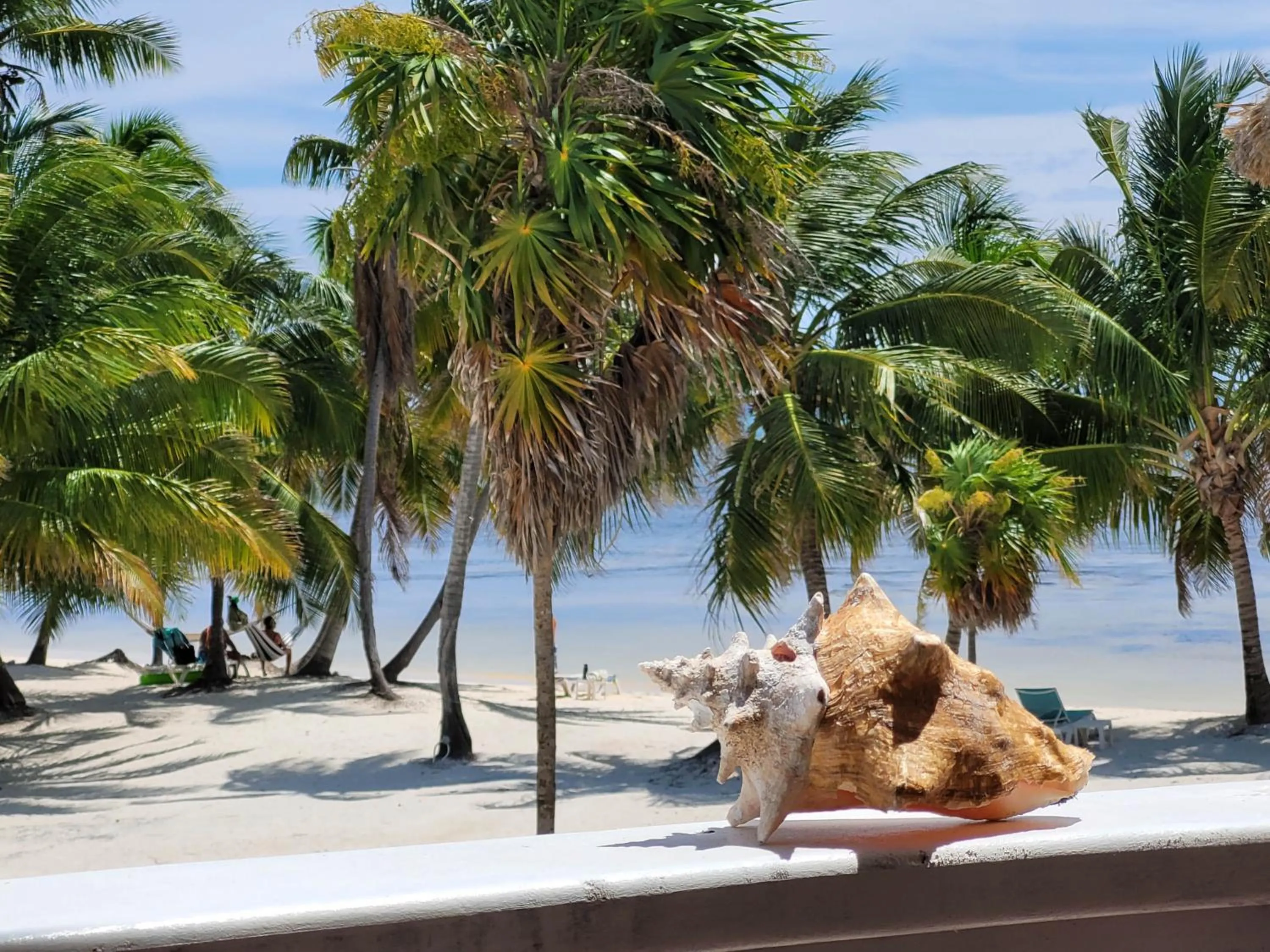 View (from property/room) in Sapphire Beach Resort