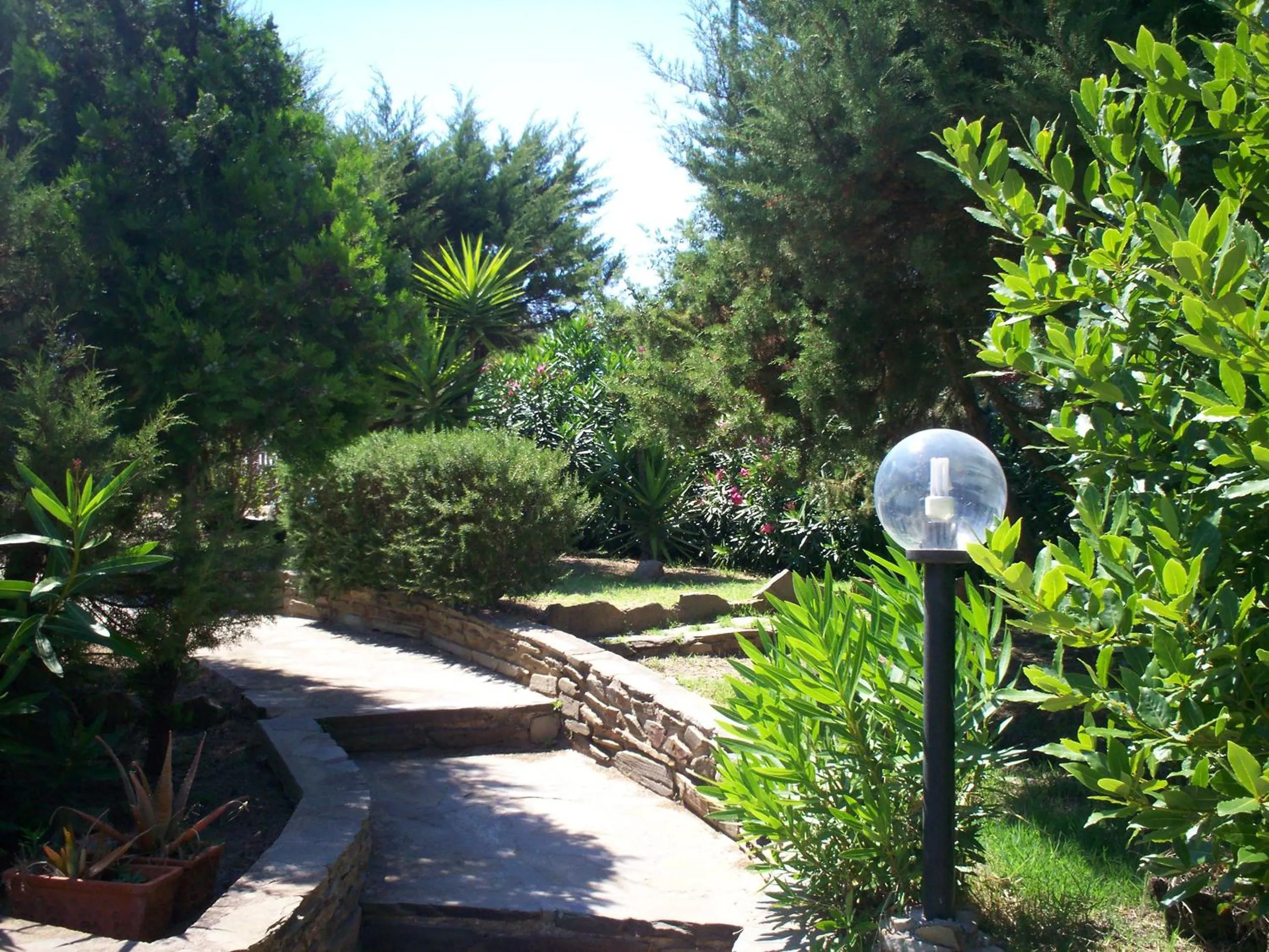 Garden in La Dea Madre