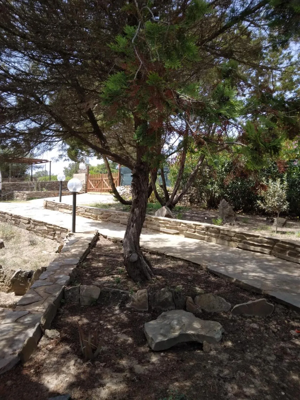 View (from property/room) in La Dea Madre