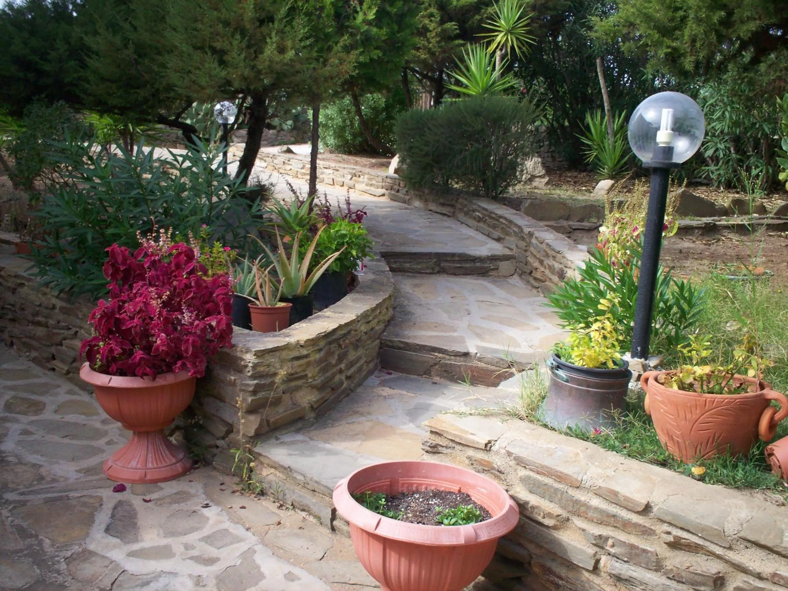 Garden in La Dea Madre