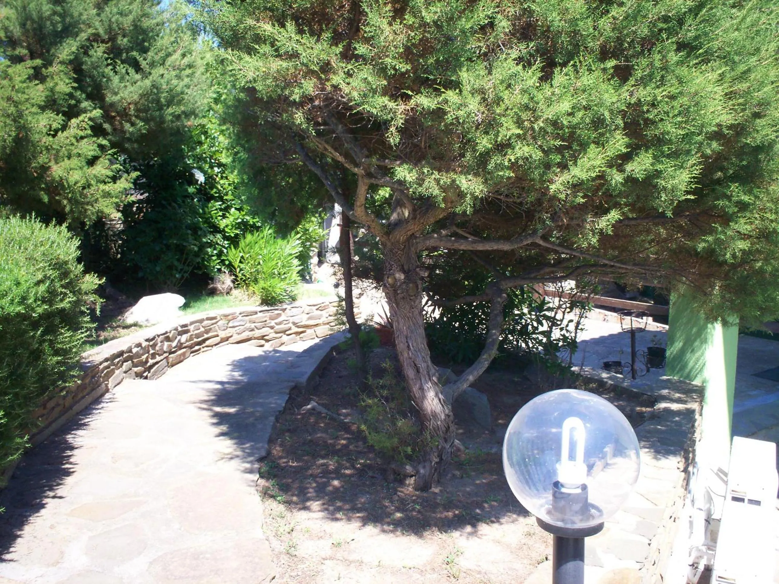 Garden in La Dea Madre