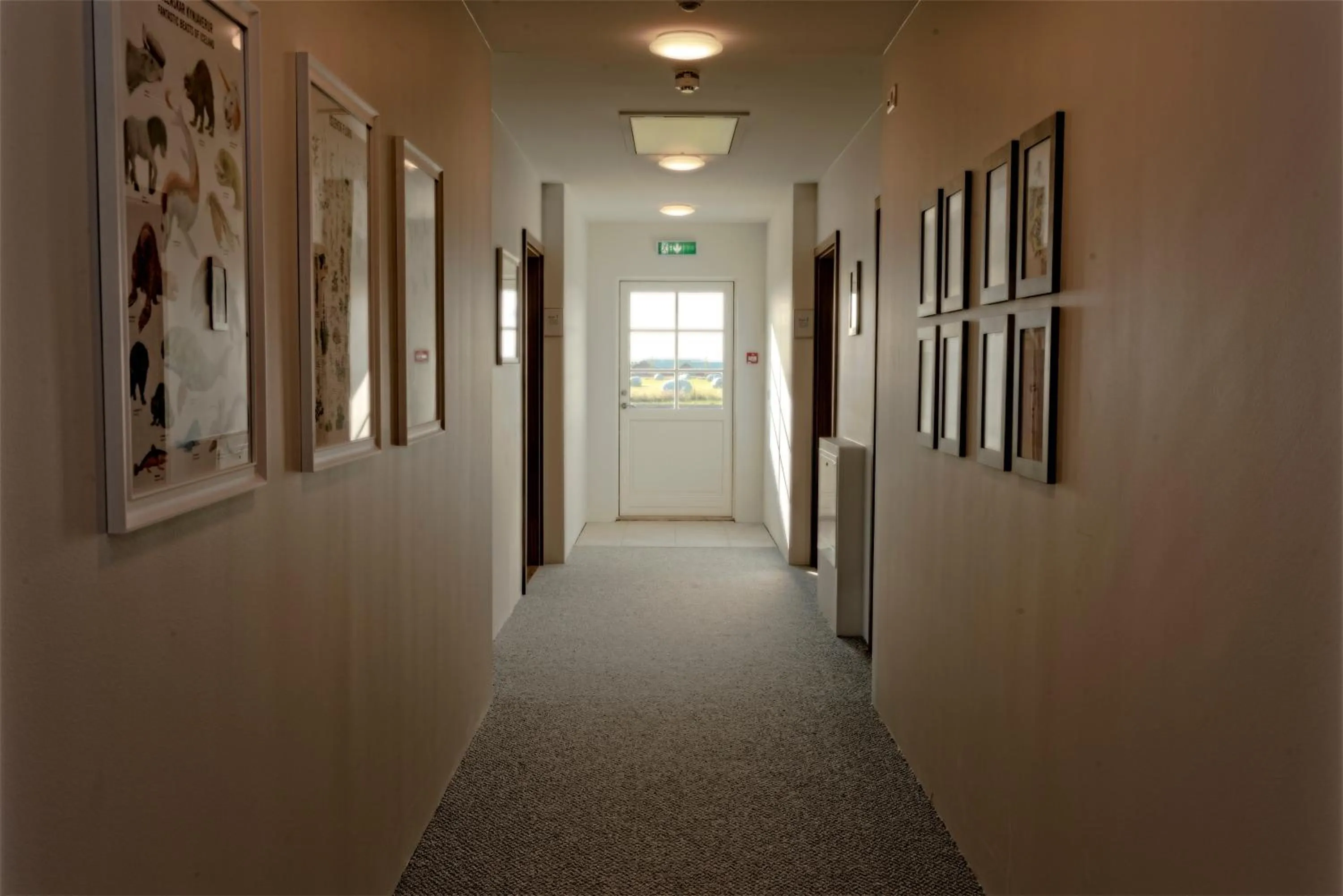 Property building in Loa's Nest