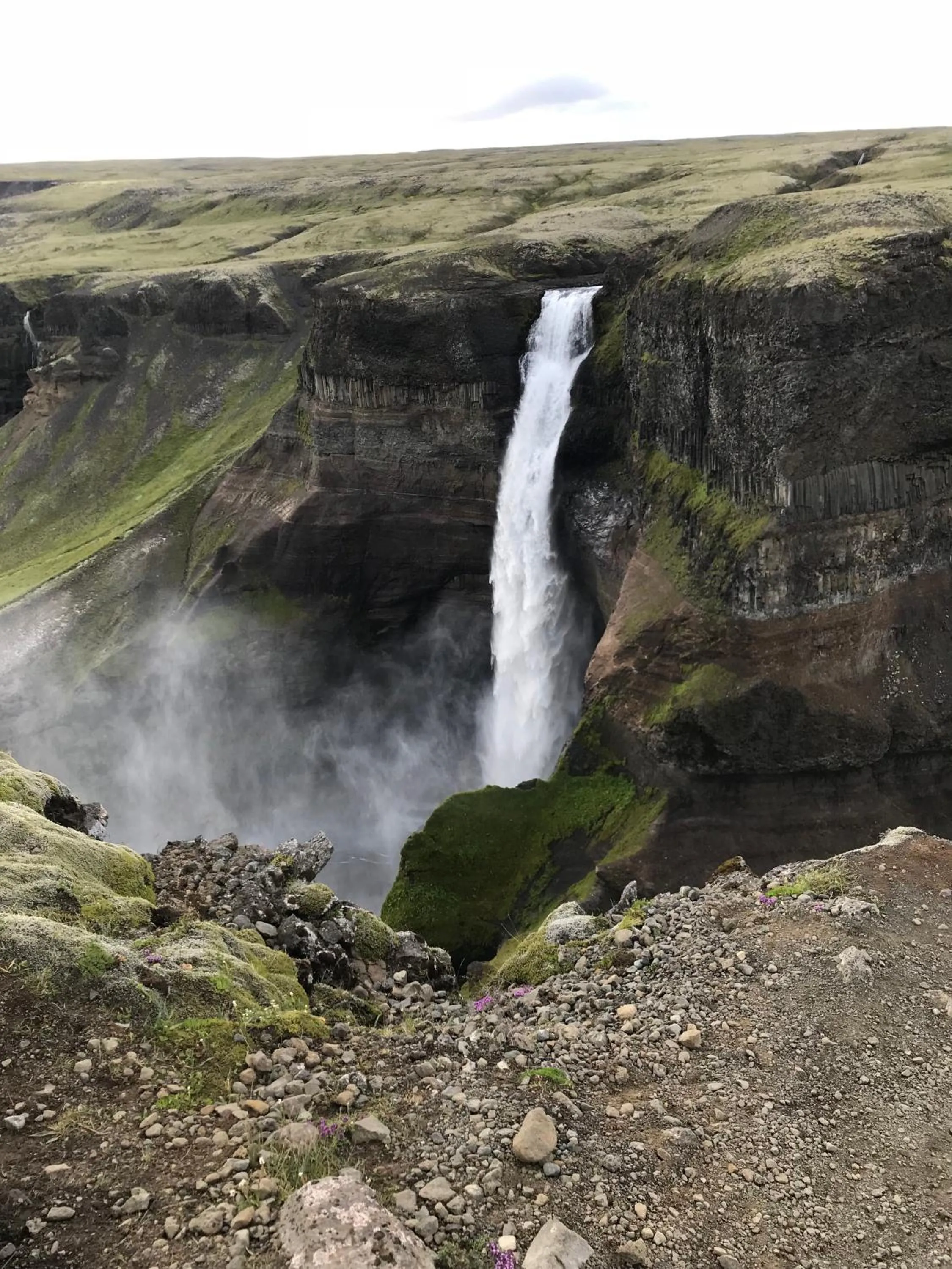 Hiking in Loa's Nest