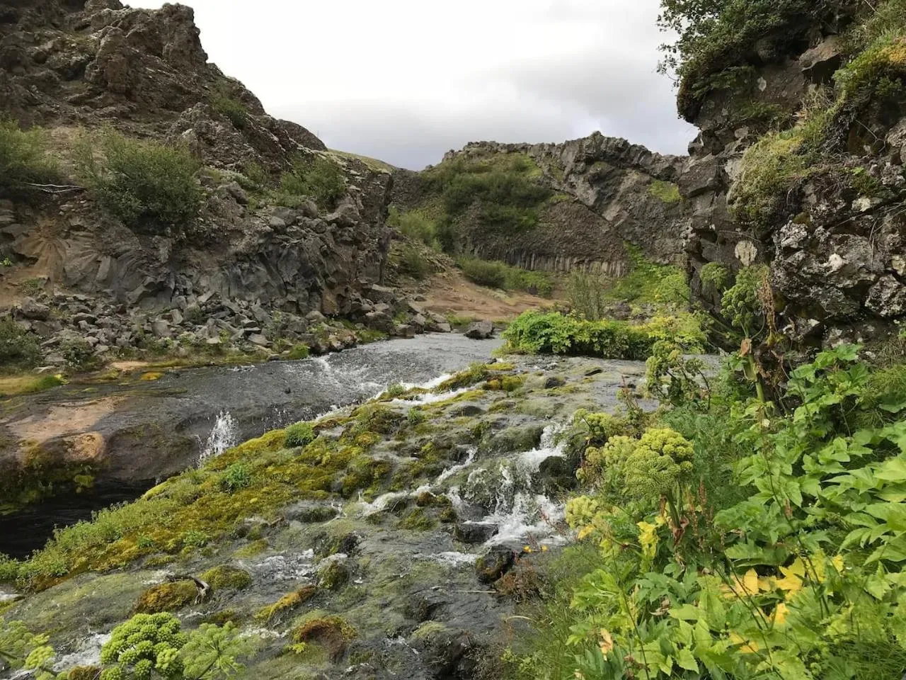 Hiking in Loa's Nest