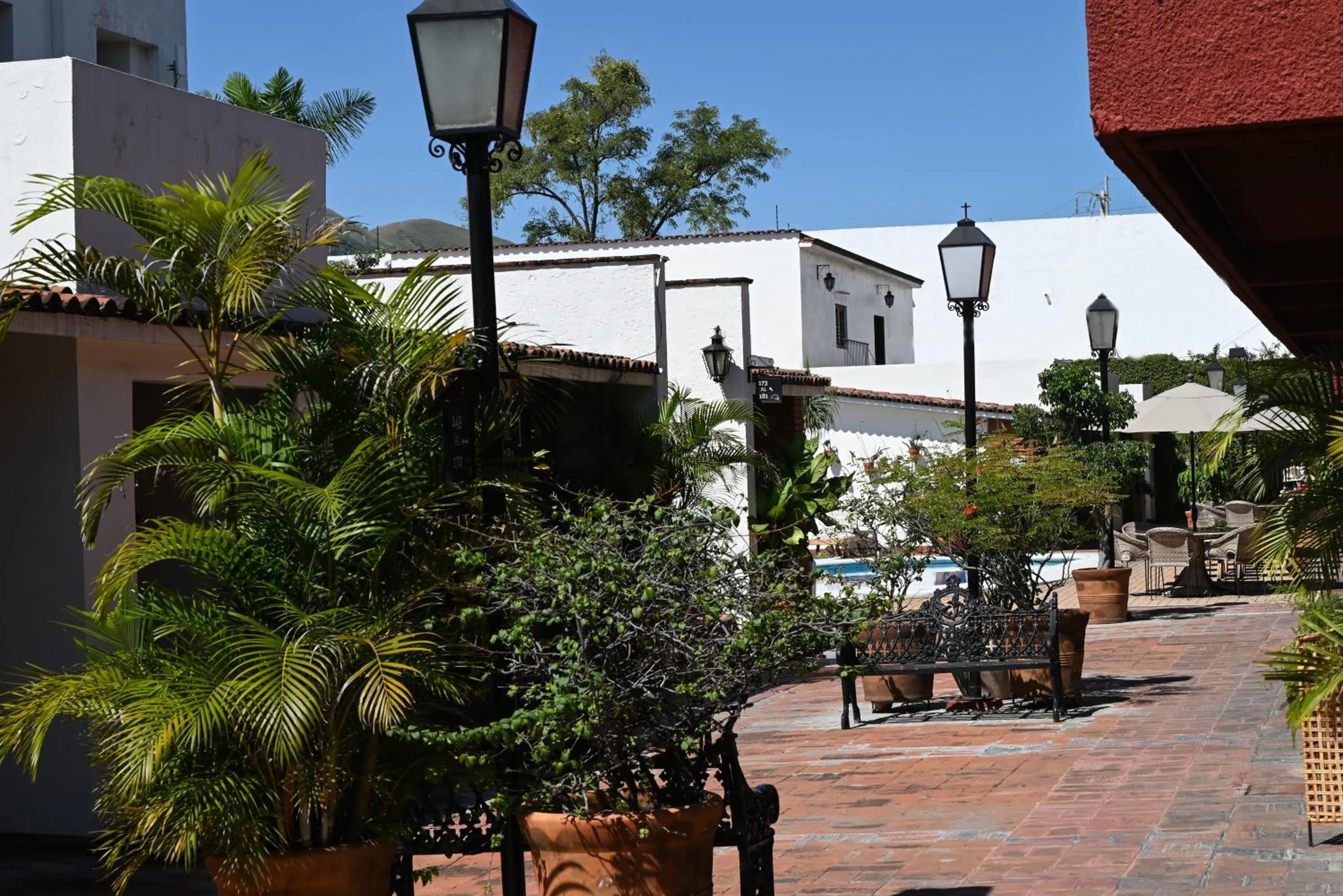 Garden in Hotel Hacienda