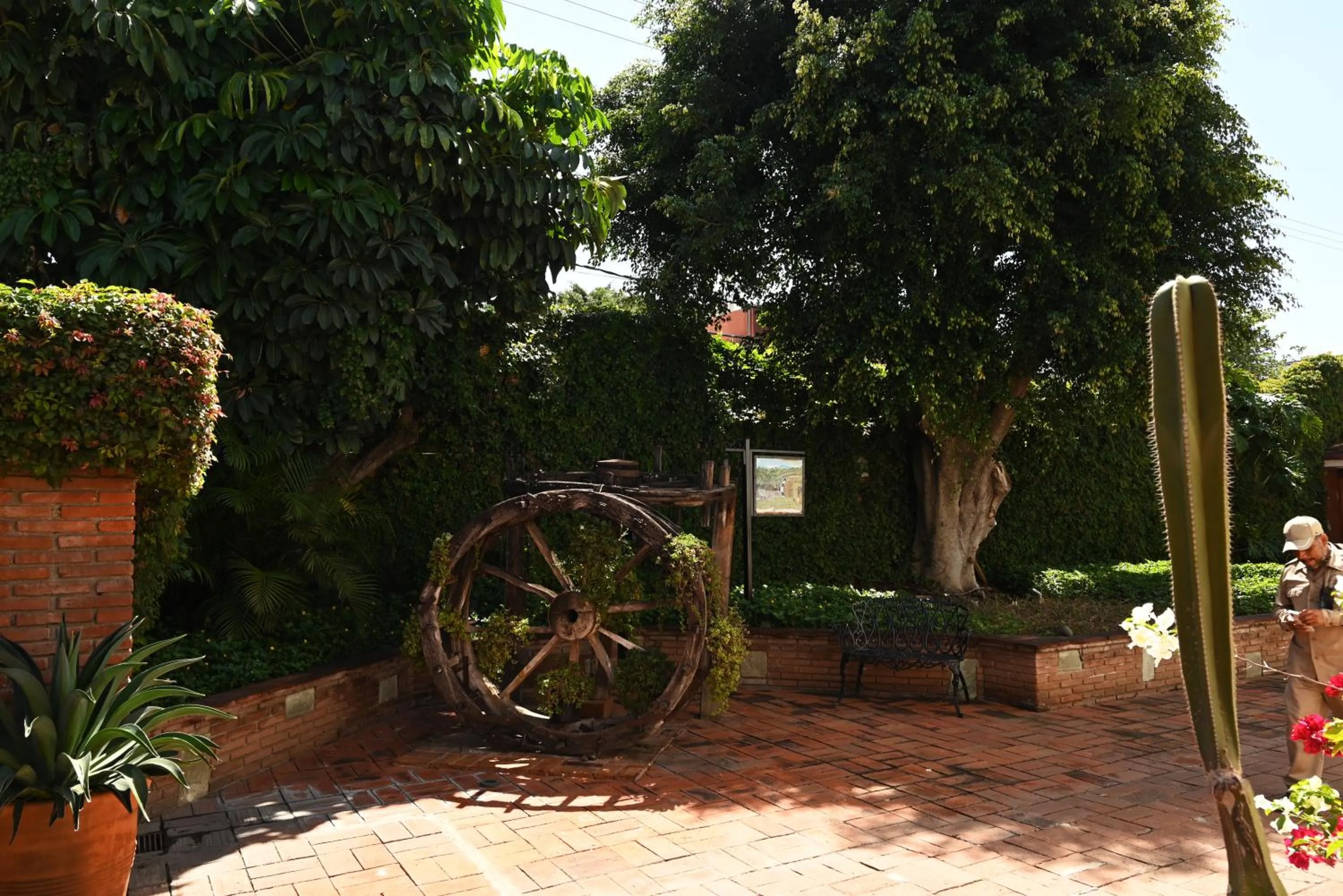 Day in Hotel Hacienda