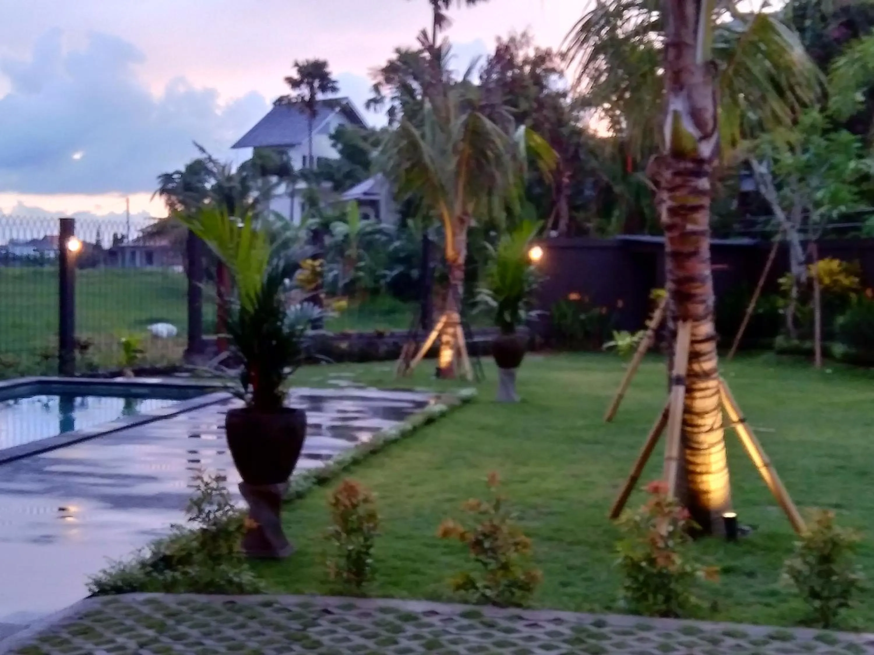 Garden in The Uma Guesthouse