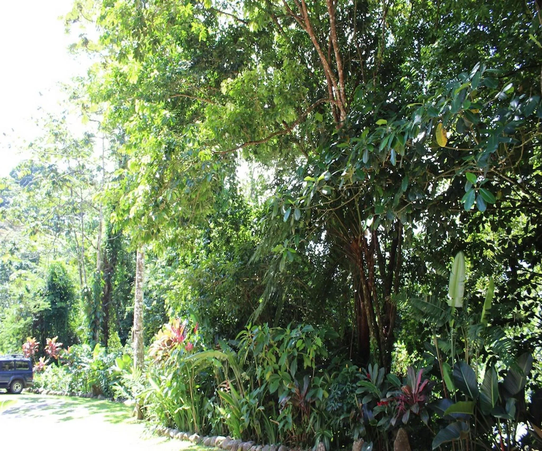 Garden in Agua Inn