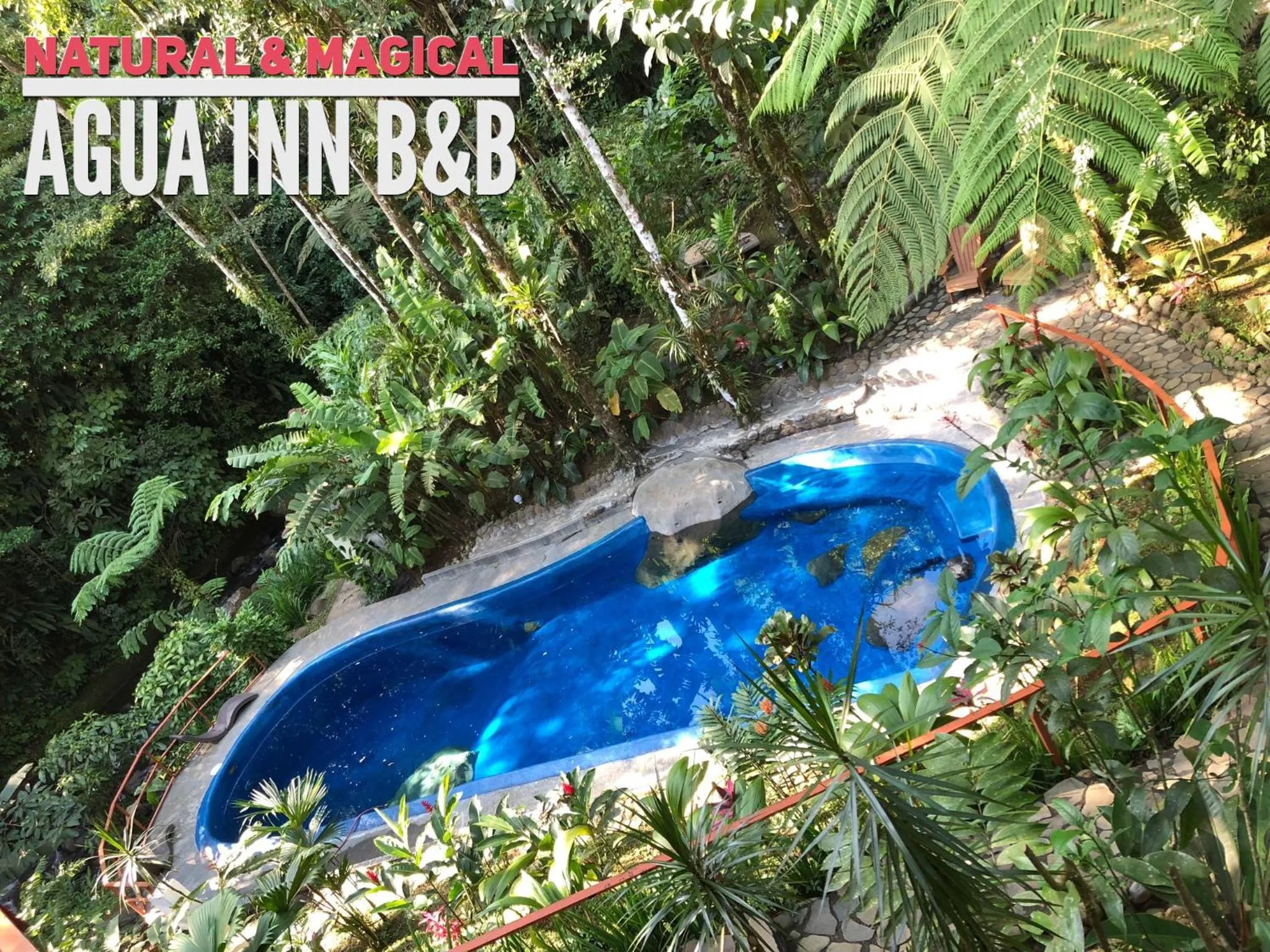 Swimming pool in Agua Inn