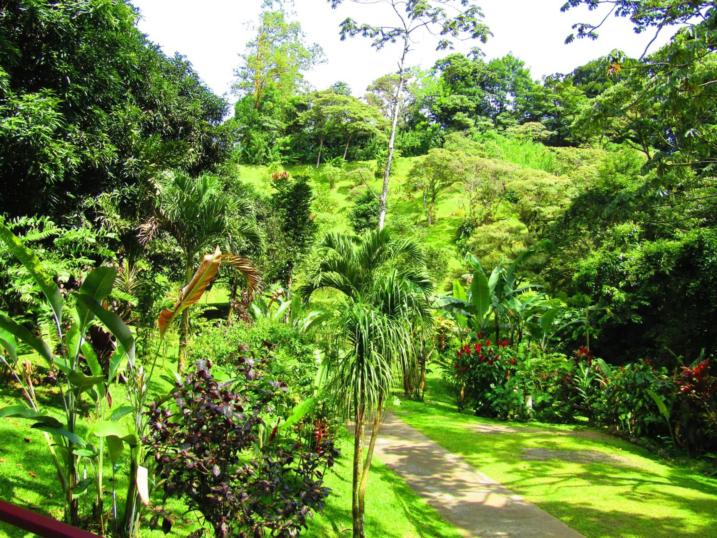 Property building in Agua Inn