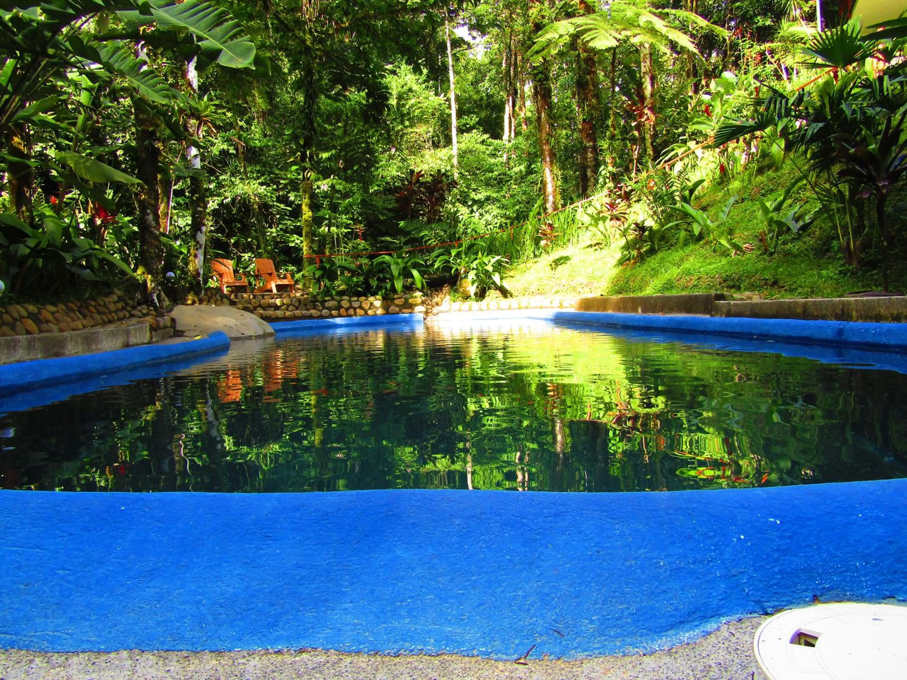 Pool view in Agua Inn