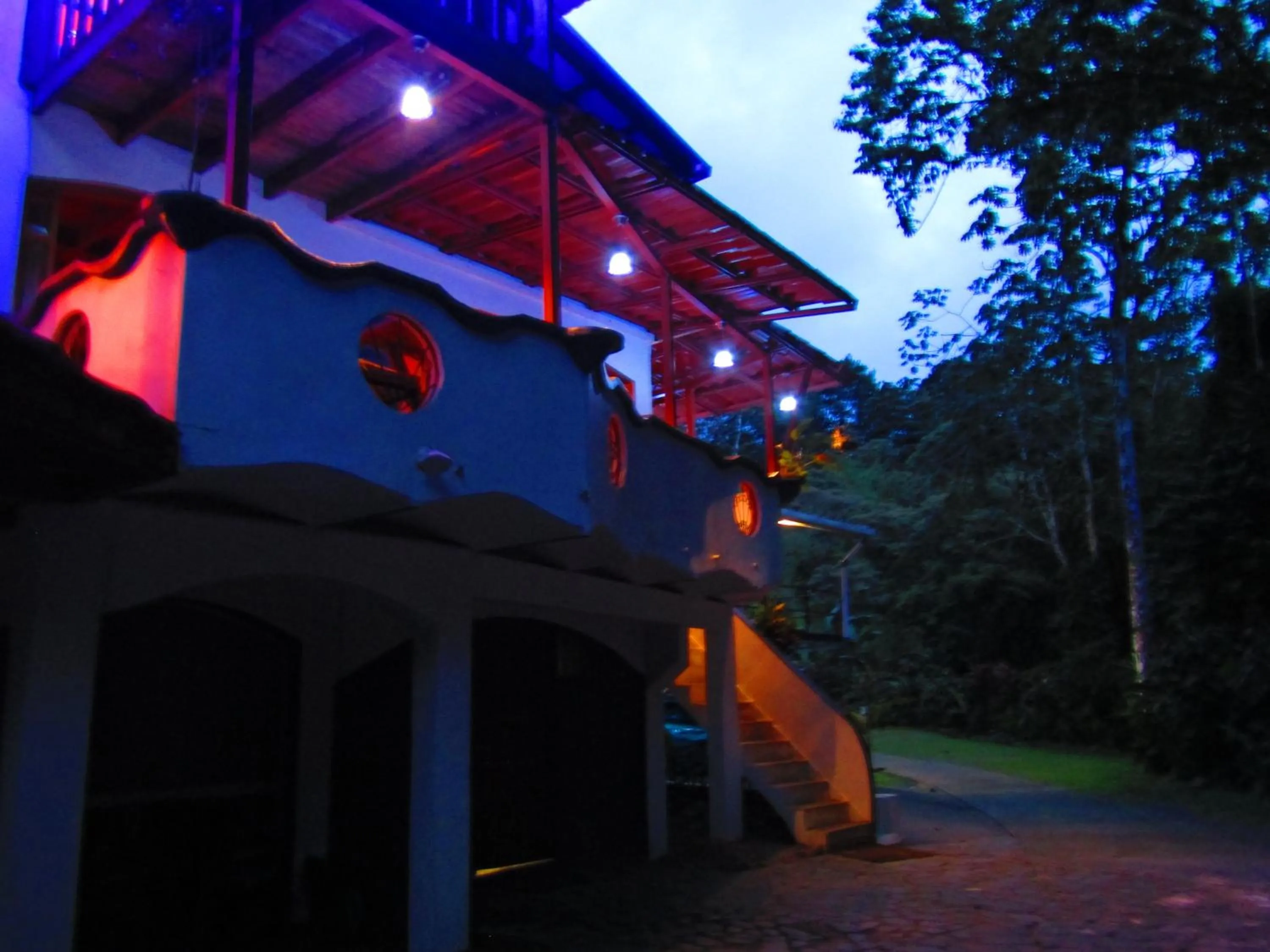 Bird's eye view in Agua Inn