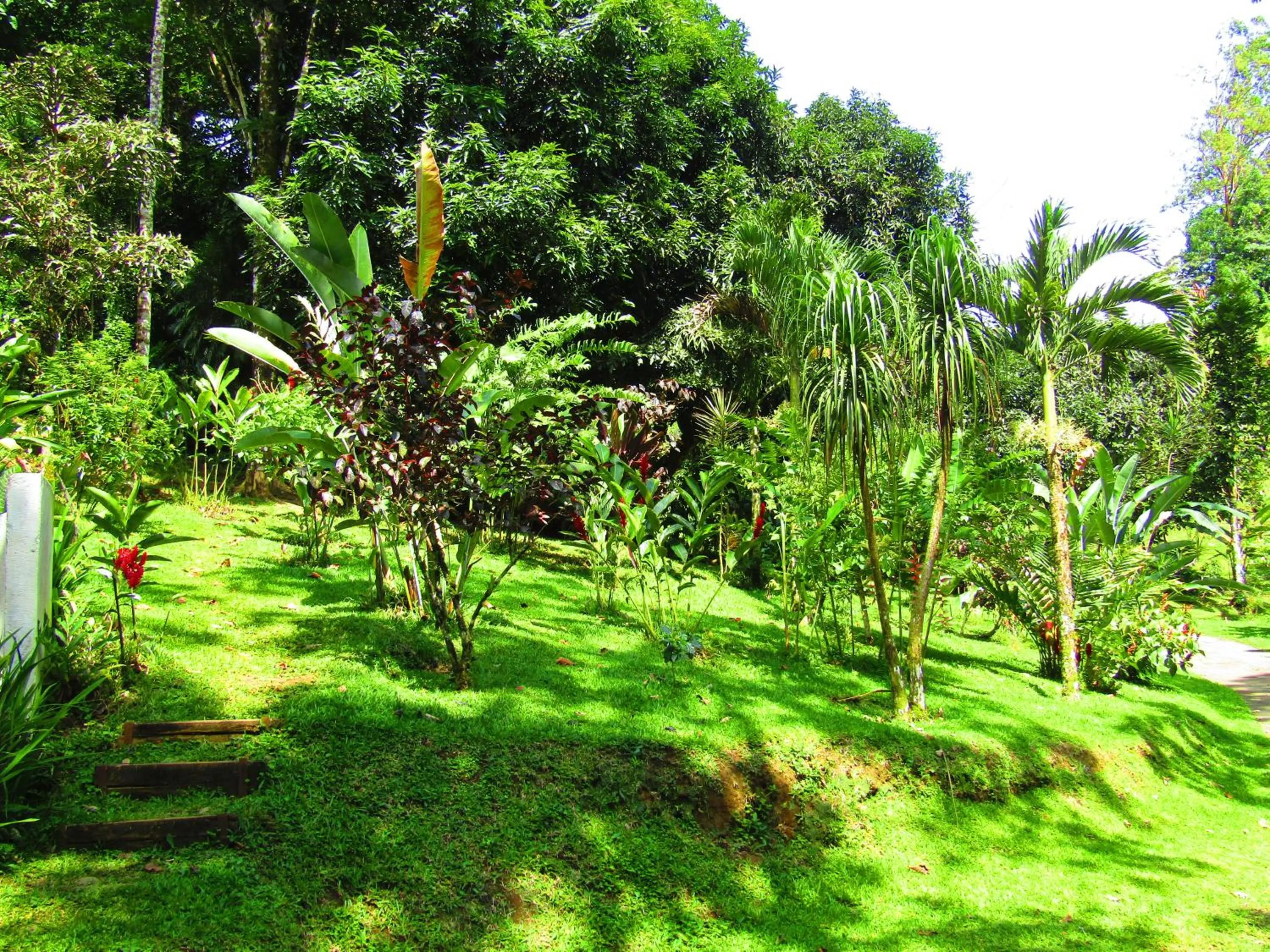 Property building in Agua Inn