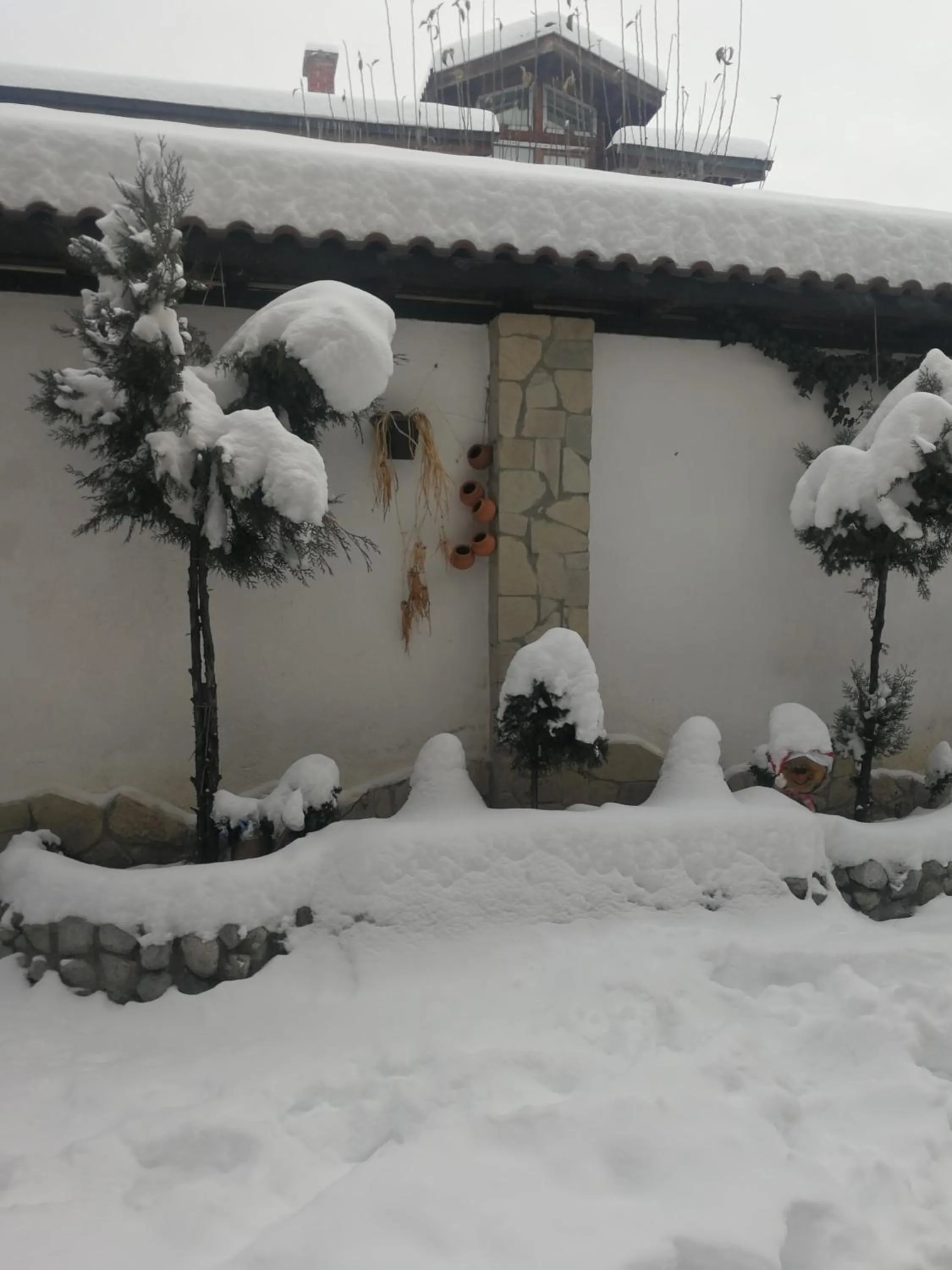Winter in Hotel St. George Pobedonosets