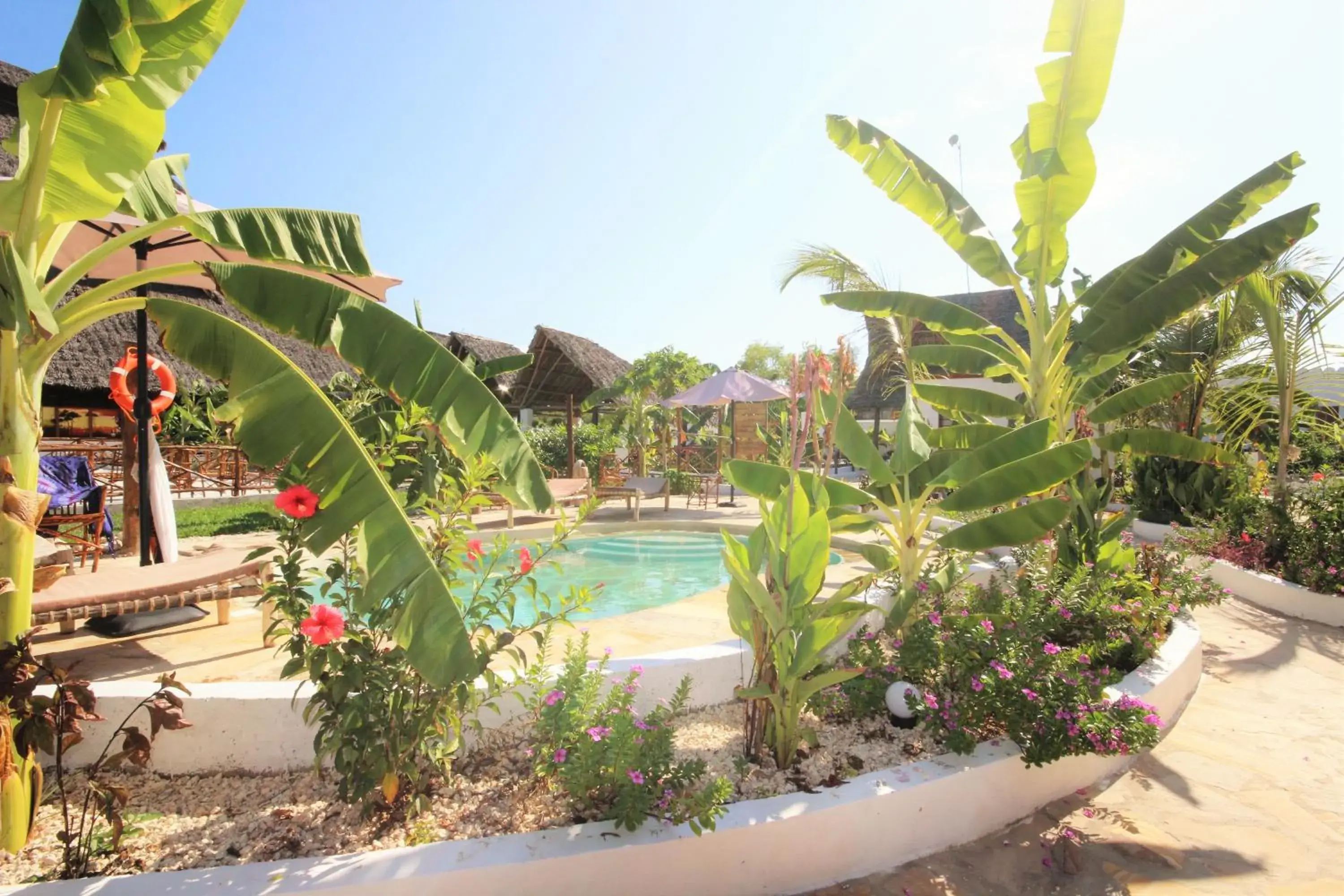 Swimming pool in Paradise Beach Resort & Spa Swimming pool in Paradise Beach Resort & Spa